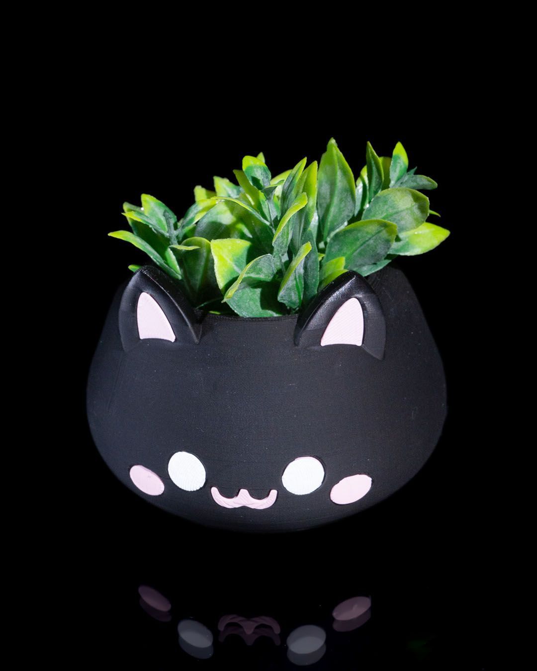 Cute Cat Planter | Kitten Planter | Plants