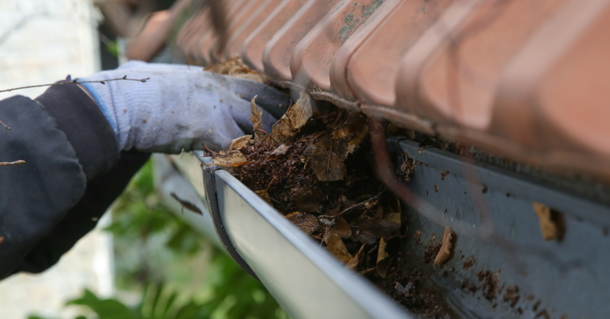 Superior Service Dallas gutter clean