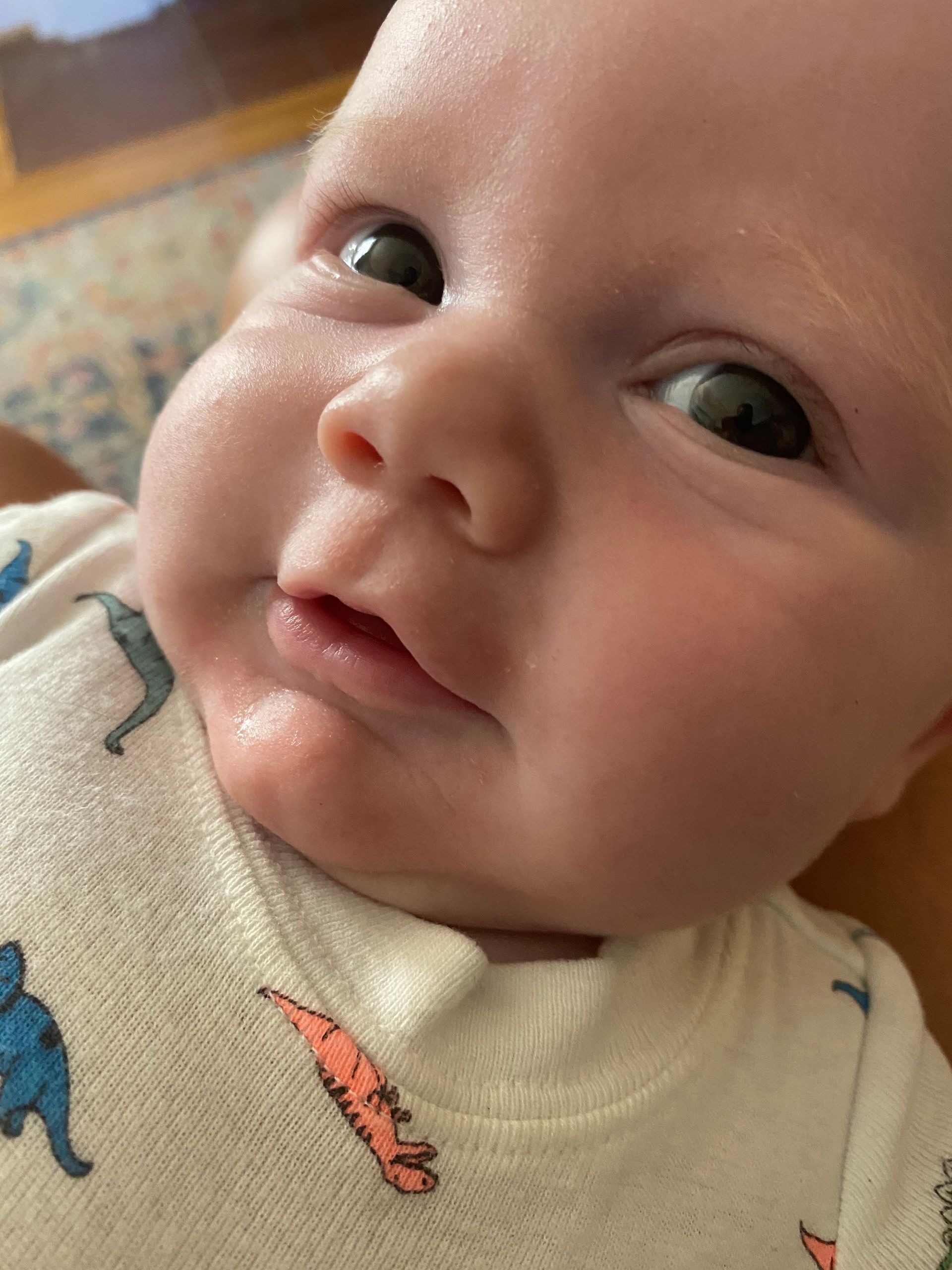 Close-up of baby with chubby cheeks and wide eyes, wearing a white onesie with dinosaur print.