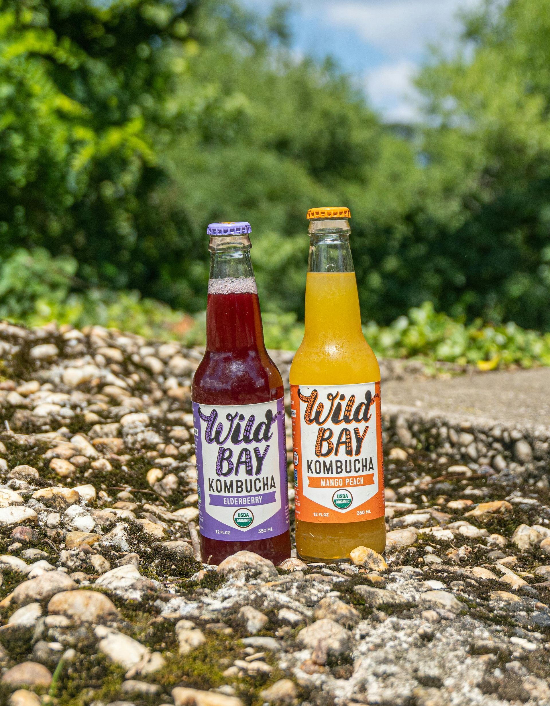 Two bottles of soda are sitting on a rocky surface.