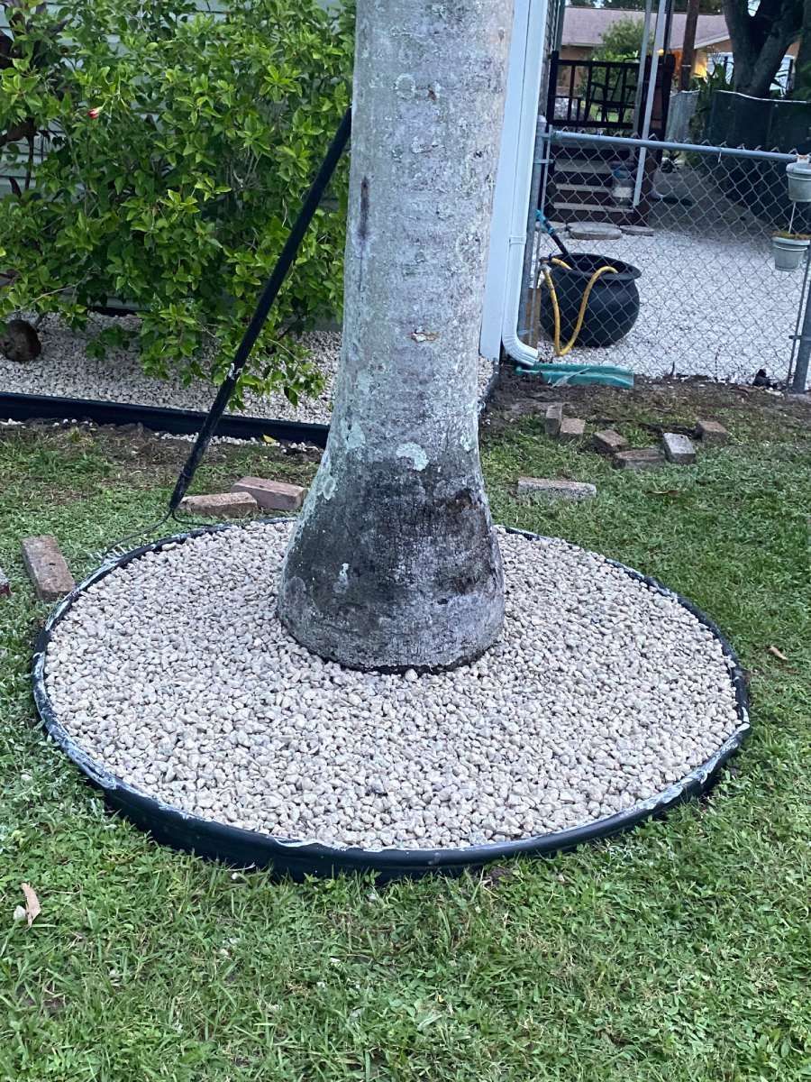 A Tree Trunk on Top of a Pile of Gravel - Lehigh Acres, FL - Mainor Landscaping Service LLC