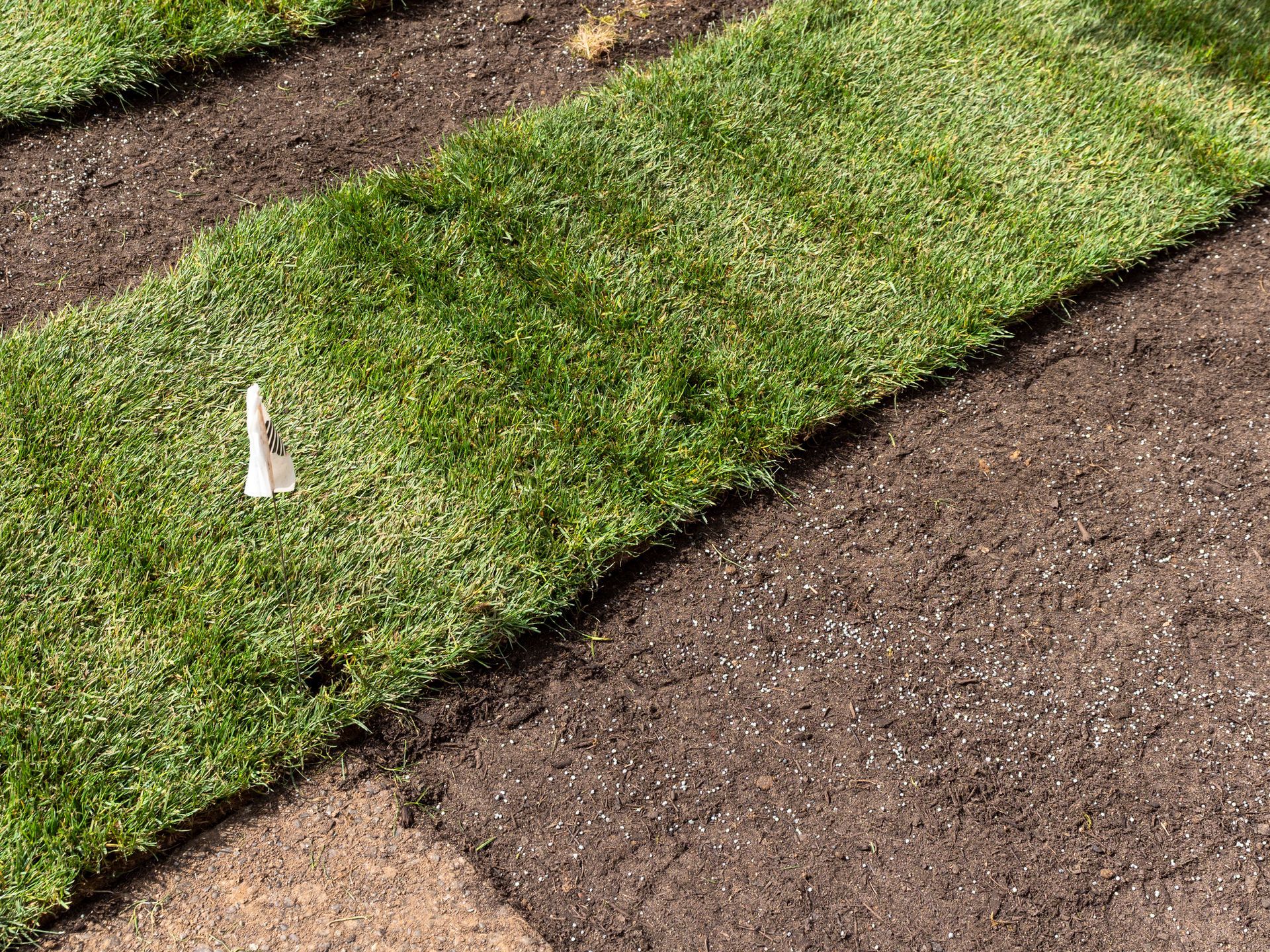 Sodding and Seeding  - Lehigh Acres, FL - Mainor Landscaping Service LLC