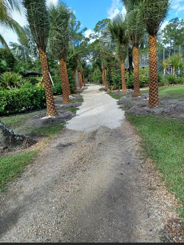 A Dirt Path Surrounded by Palm Trees - Lehigh Acres, FL - Mainor Landscaping Service LLC