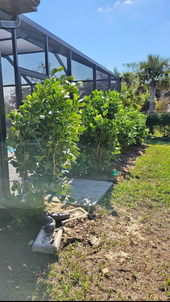 Green House With Potted Plants Outside - Lehigh Acres, FL - Mainor Landscaping Service LLC