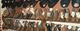 Large Selection of Men's Boots and Hats