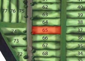 RESIDENTIAL TAXIWAY LOT available in prestigious Ridge Landing Airpark Community, Florida's Premier Fly-In Community. Build your Dream Hangar Home in this one-of-a-kind, gated community with private 3,000 ft. paved and lit runway.