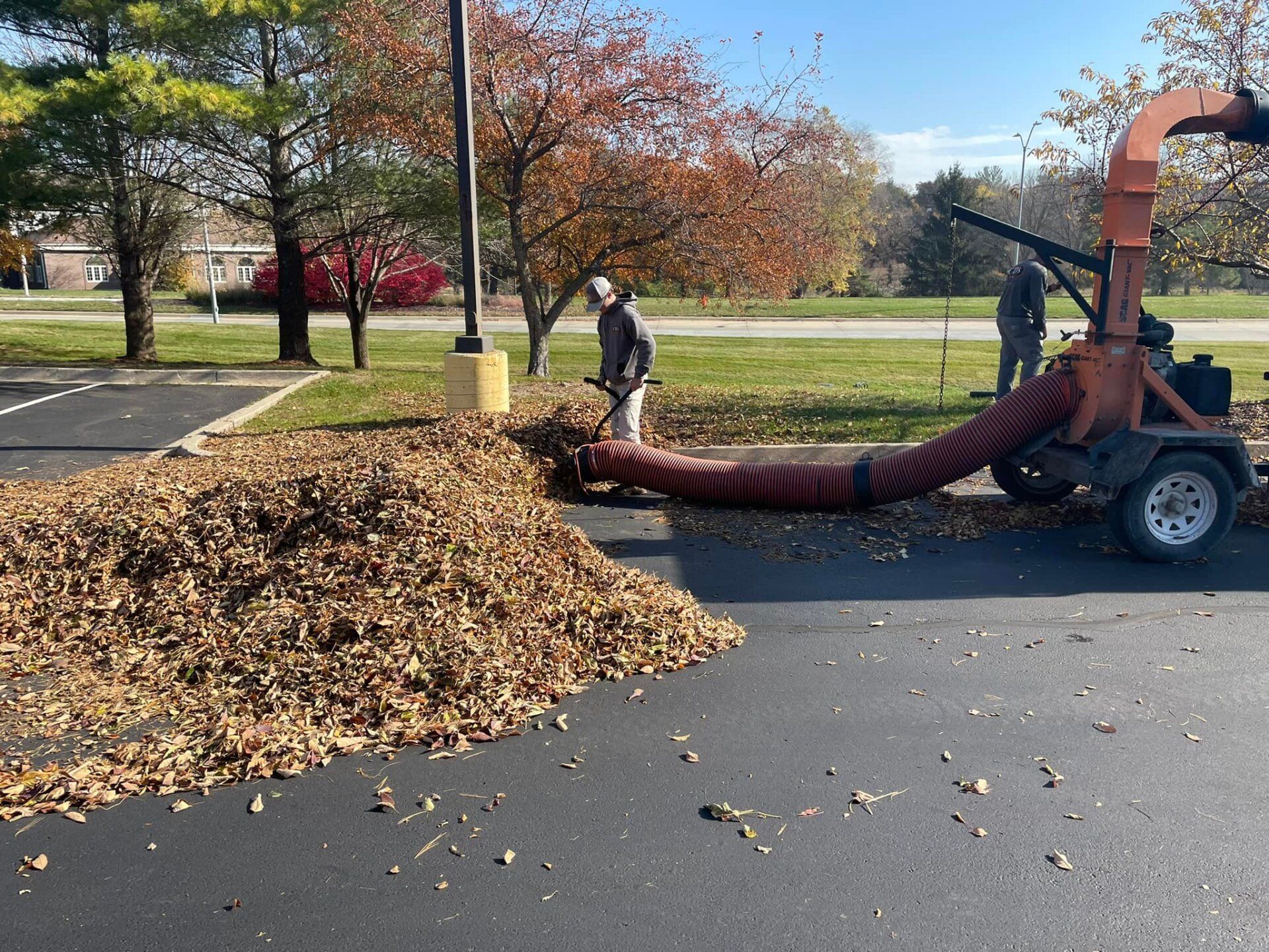 Team raking and piling leaves during fall cleanup by CD’s Lawn Care in Iowa