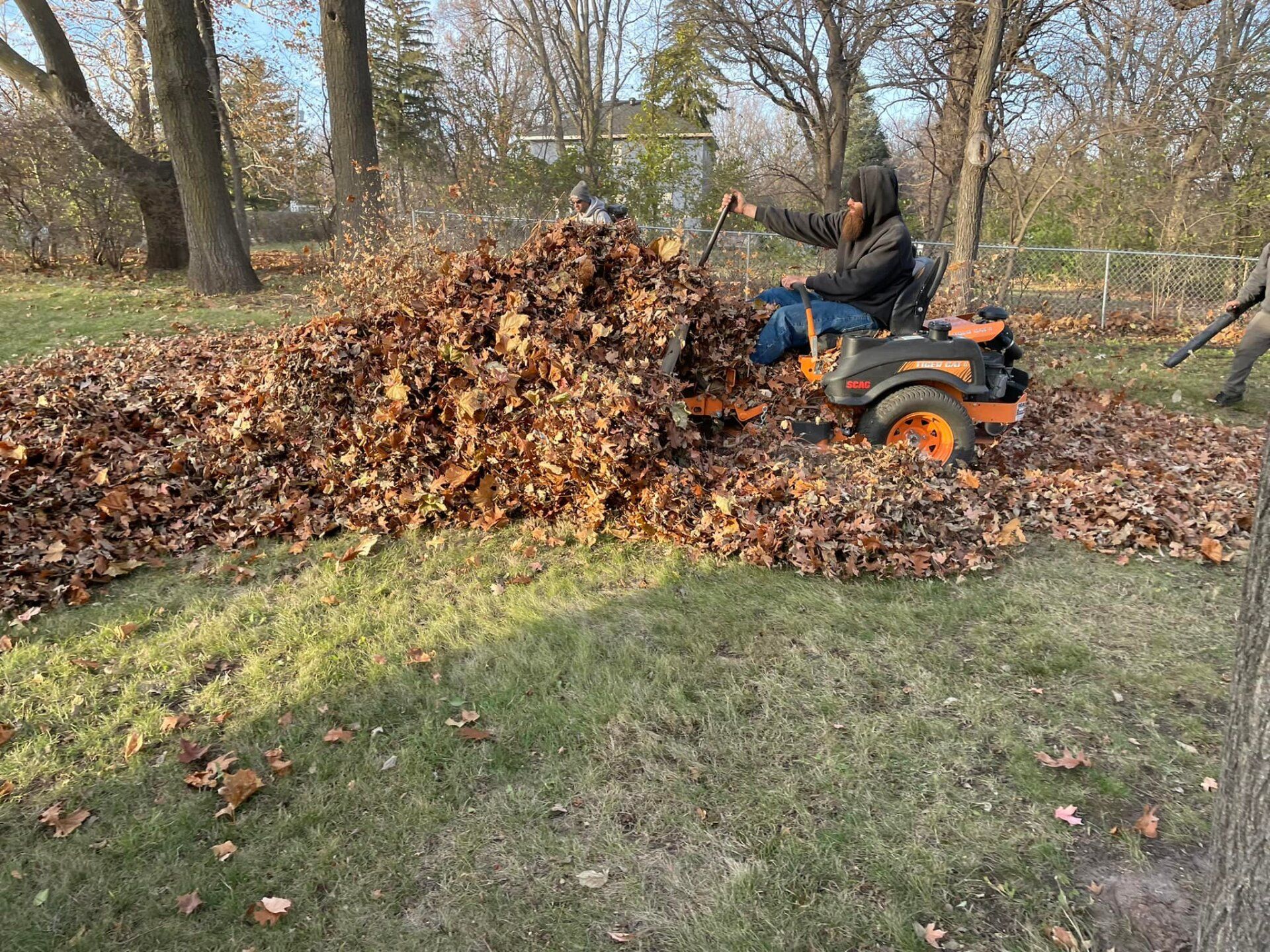 Team raking and piling leaves during fall cleanup by CD’s Lawn Care in Iowa