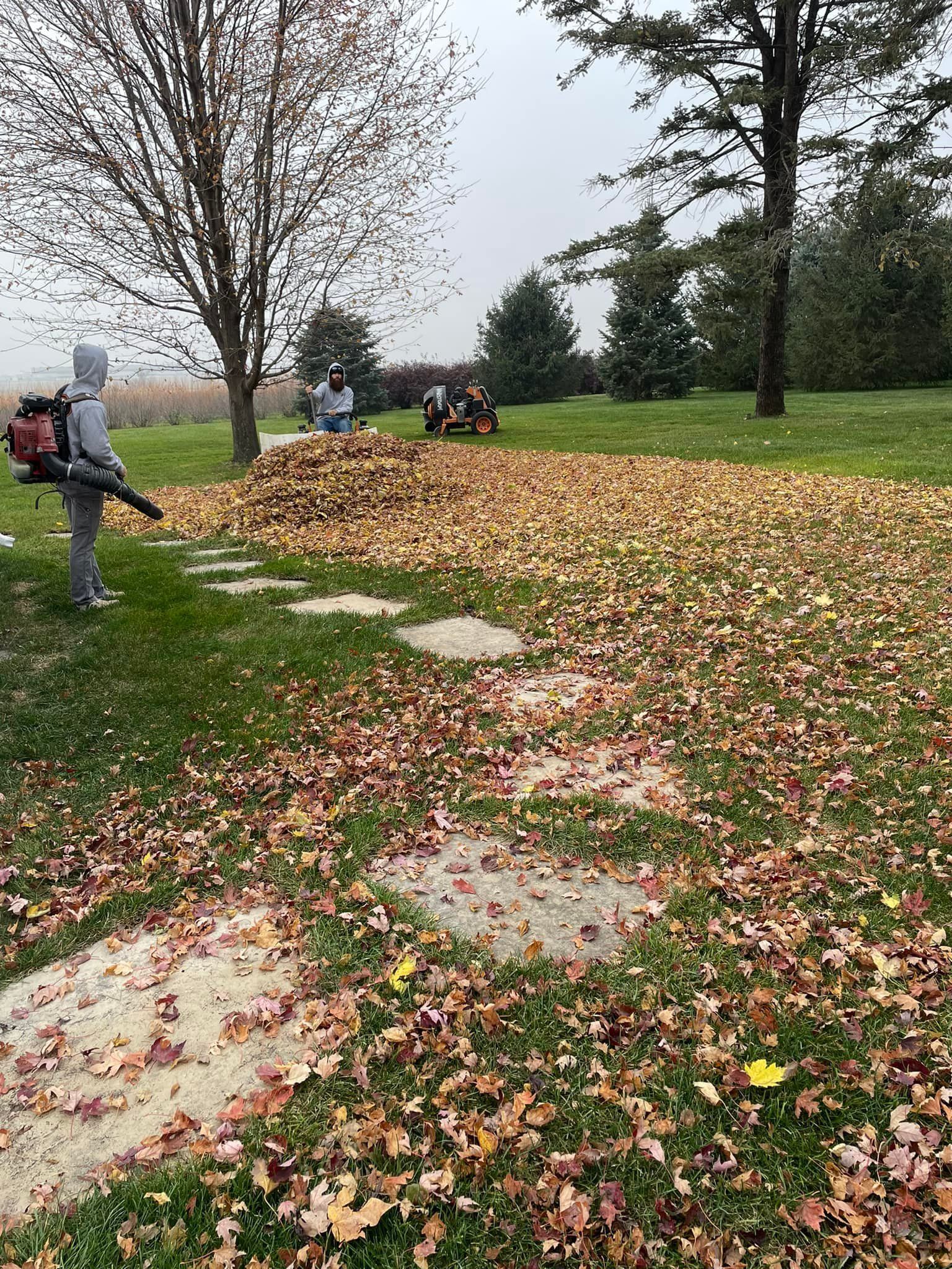 Team raking and piling leaves during fall cleanup by CD’s Lawn Care in Iowa