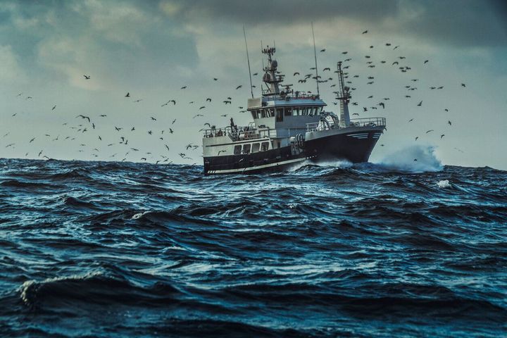 Regnskapsbyrå for fiskeri bransjen, Regnskapsfører Kristiansand, Fisker