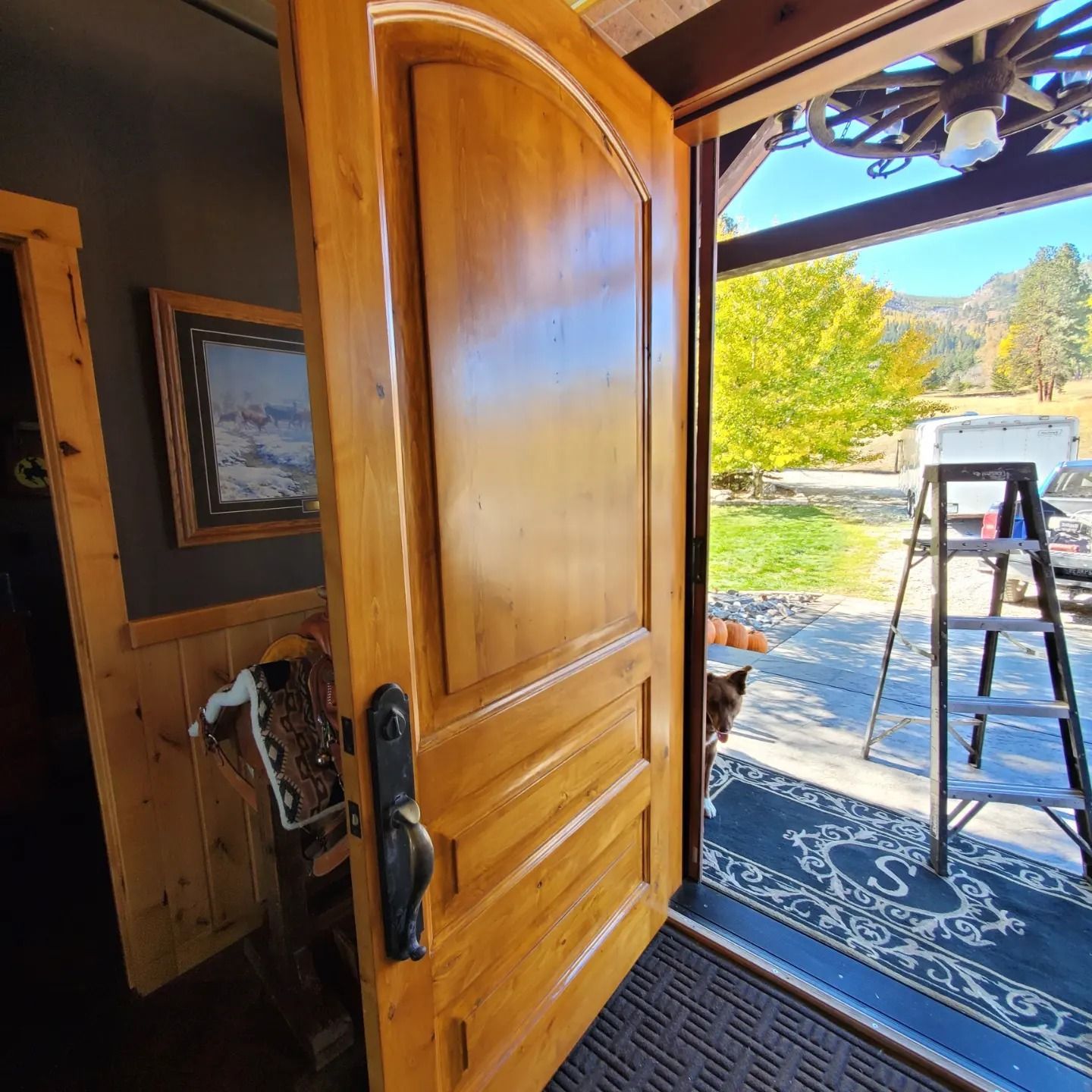 A wooden door is open to a patio with trees in the background