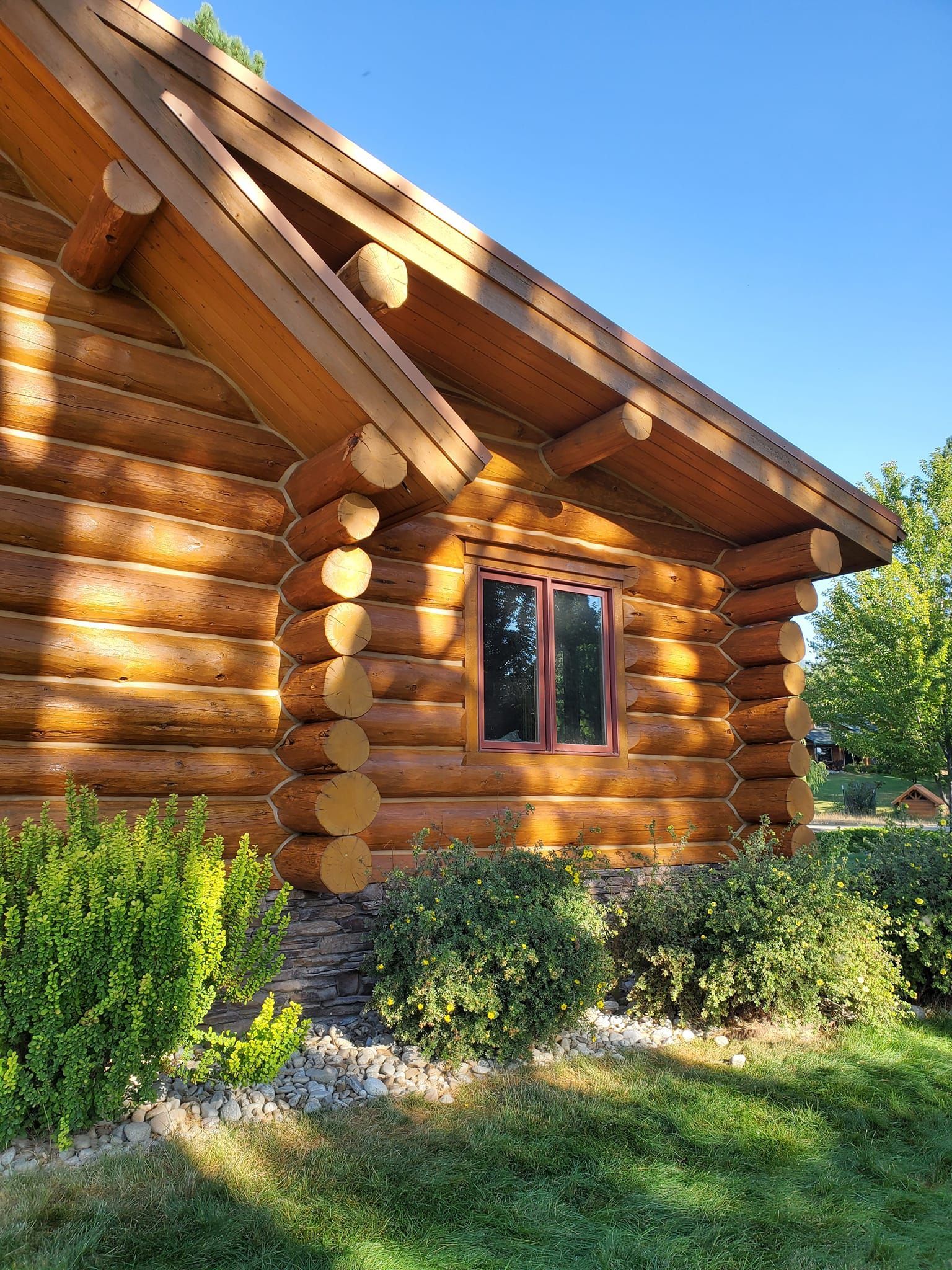 A log cabin with a lot of windows and bushes in front of it.