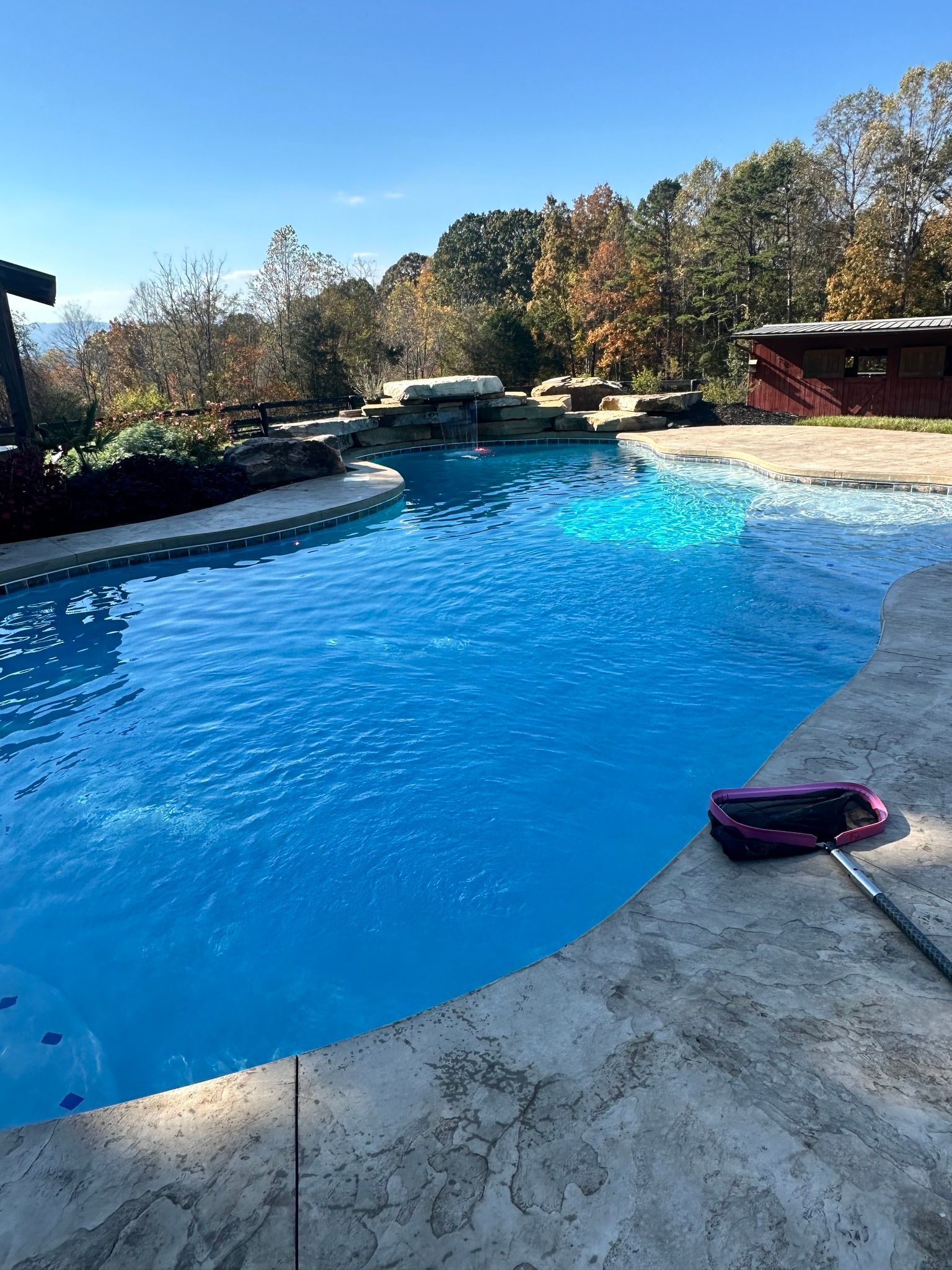 A large swimming pool is surrounded by trees on a sunny day.