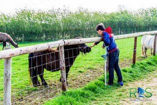 African American nurse uses a forehead thermometer to check a little Asian girl's temperature. The girl is sitting in a wheelchair. She is at a free outdoor clinic. The nurse's back is to the camera.