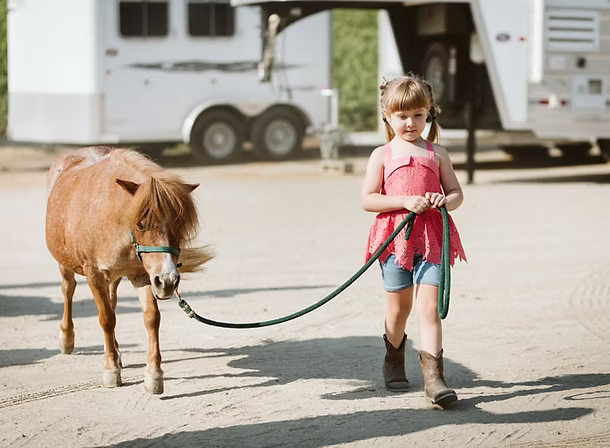 Young child in red dress leading a brown calf on a leash in a sunny outdoor livestock area