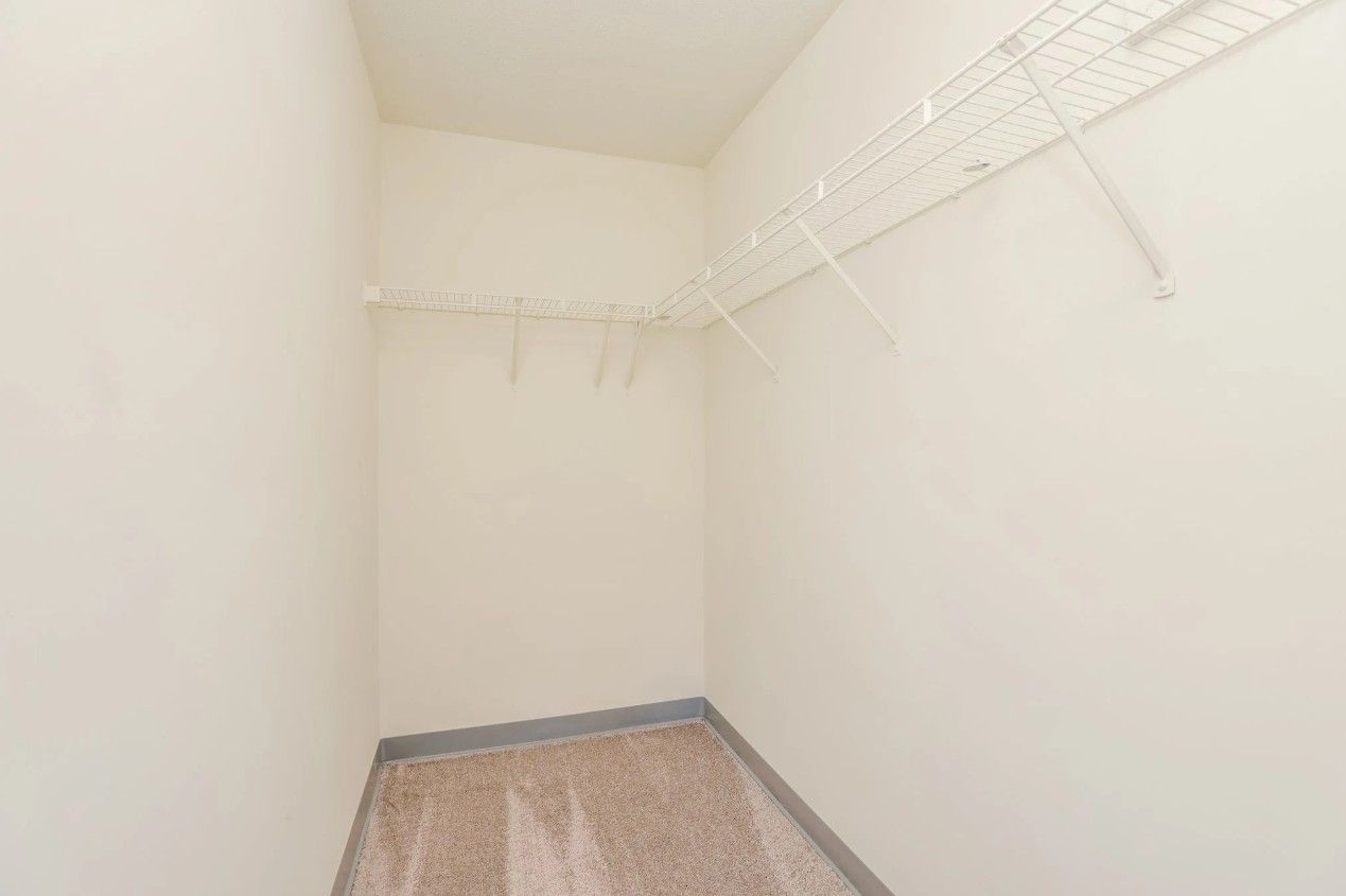 A walk-in closet with white walls, tan carpet, and white wire shelving mounted on the walls.