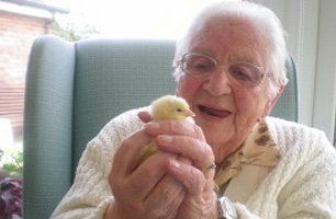 elderly person holding a chick