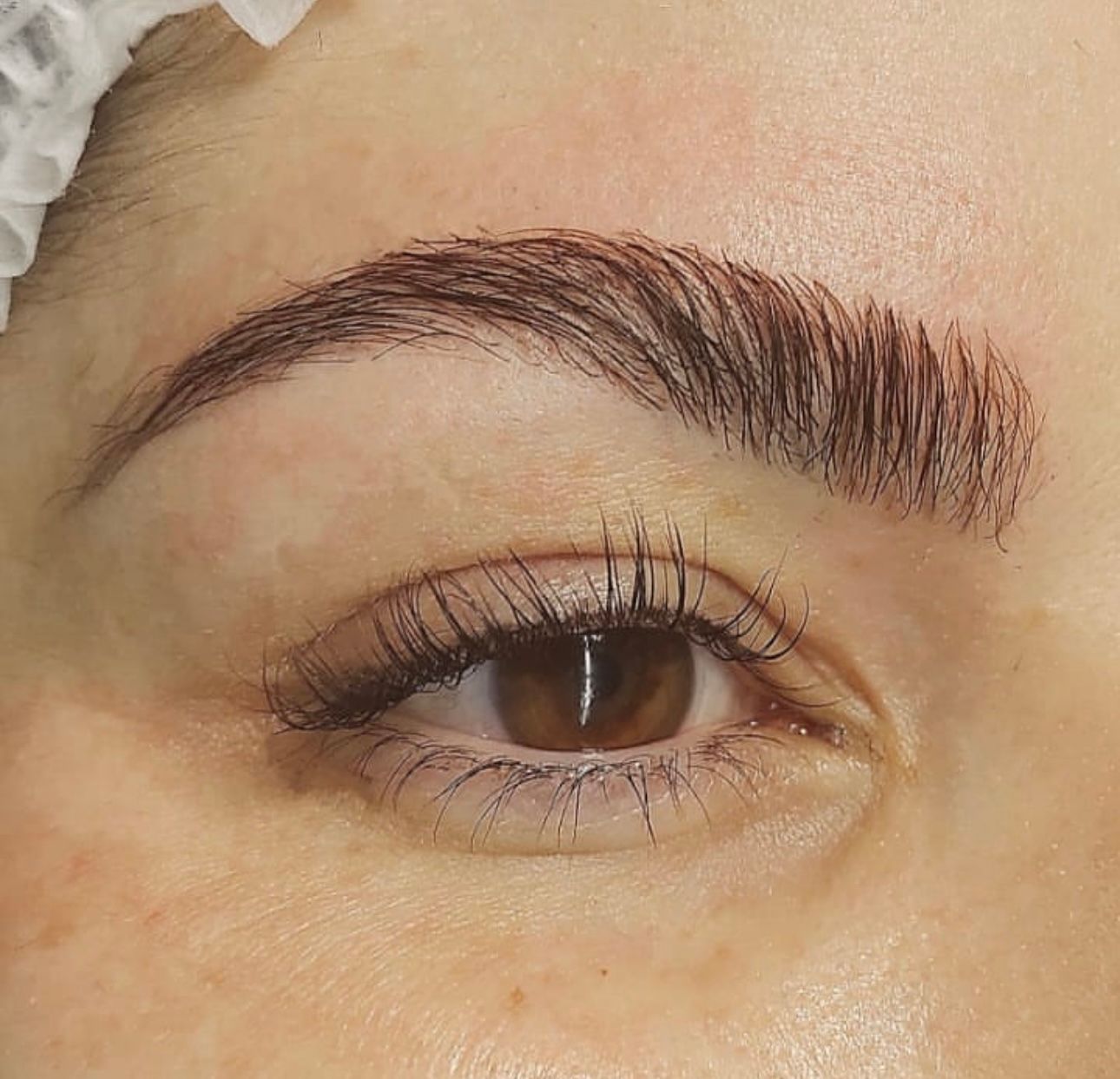 Rehaussement des Cils (Lash Lifting) - Melissa Medeiros - Mell Medeiros