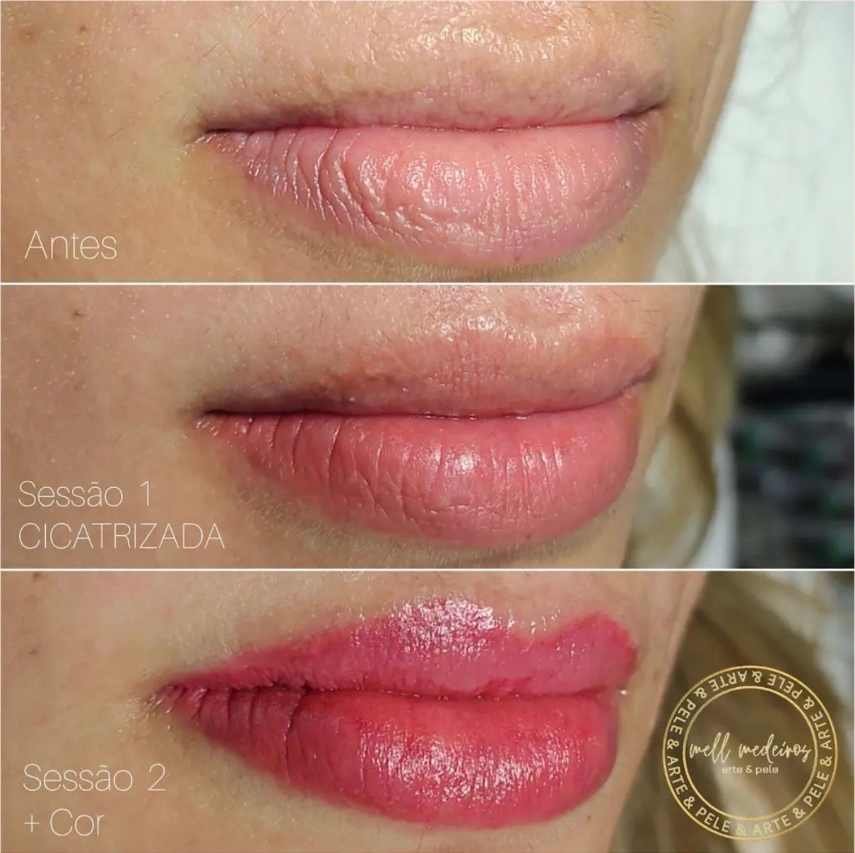 Micropigmentation des Lèvres (Lip Blush) - Melissa Medeiros - Mell Medeiros