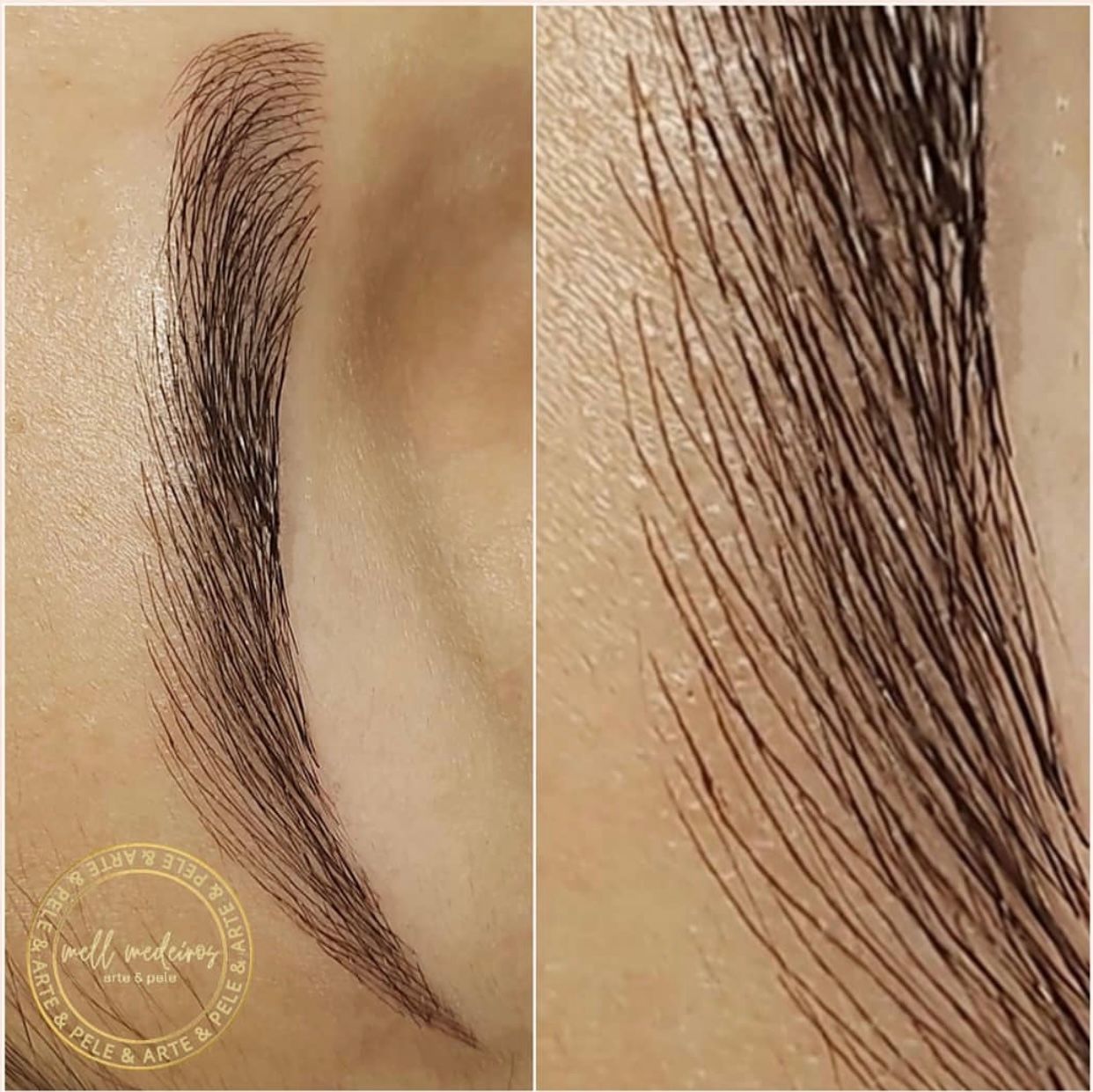 Microblading - Melissa Medeiros - Mell Medeiros