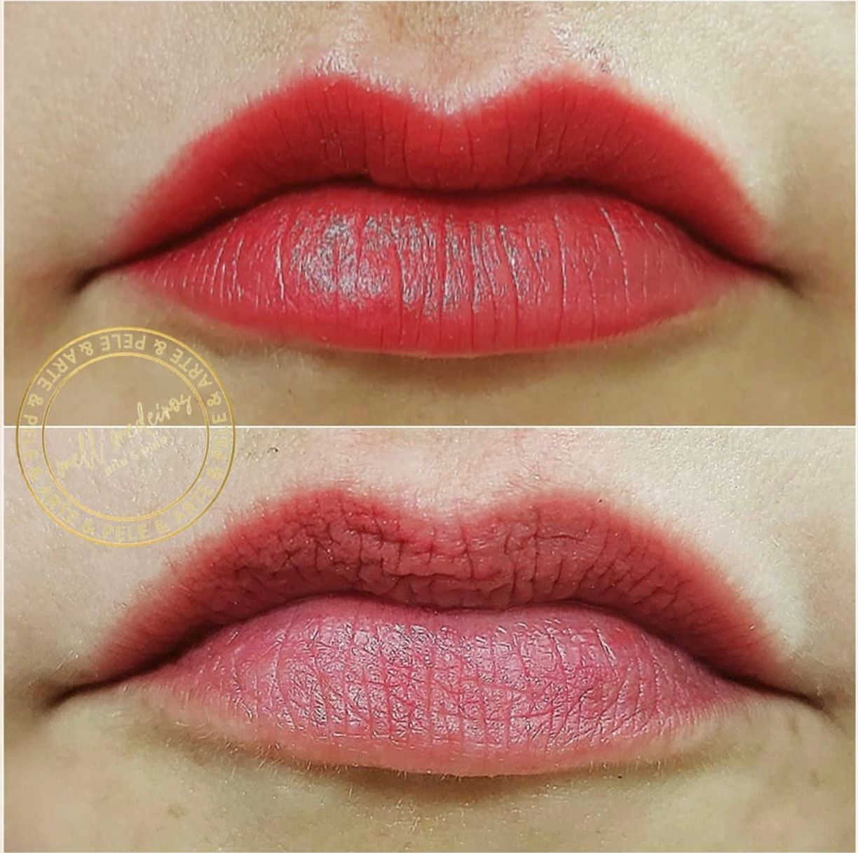 Micropigmentation des Lèvres (Lip Blush) - Melissa Medeiros - Mell Medeiros