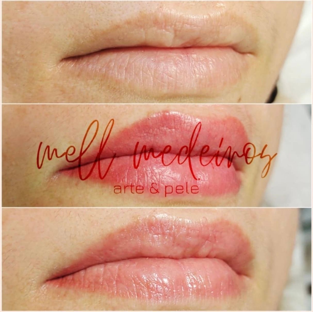 Micropigmentation des Lèvres (Lip Blush) - Melissa Medeiros - Mell Medeiros