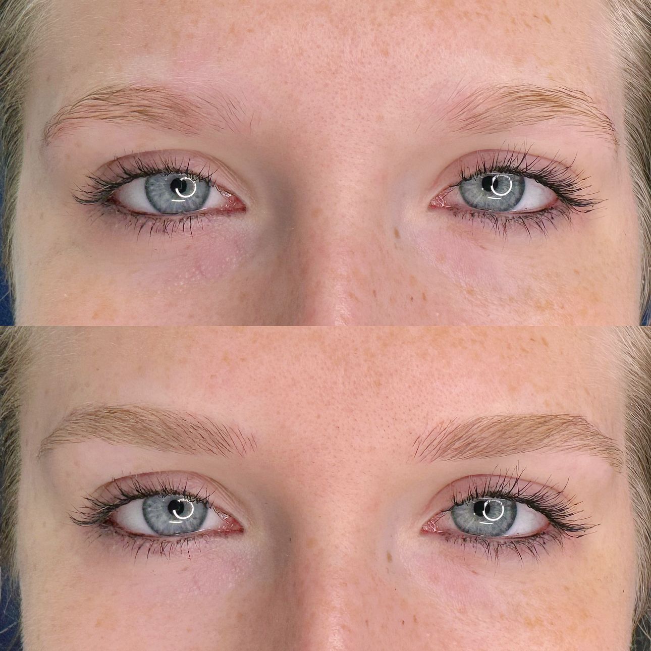 Nanoblading - Melissa Medeiros - Mell Medeiros 