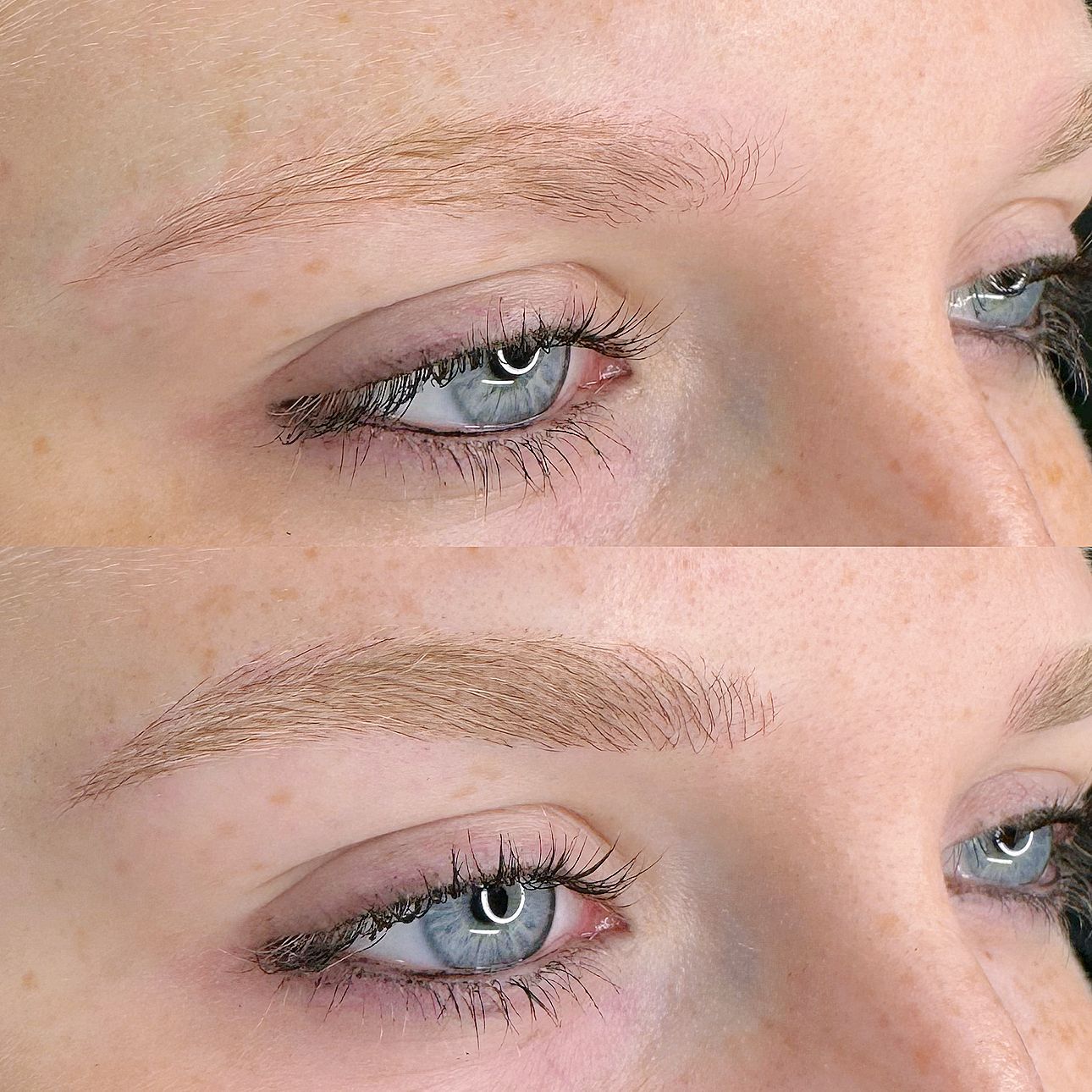 Nanoblading - Melissa Medeiros - Mell Medeiros