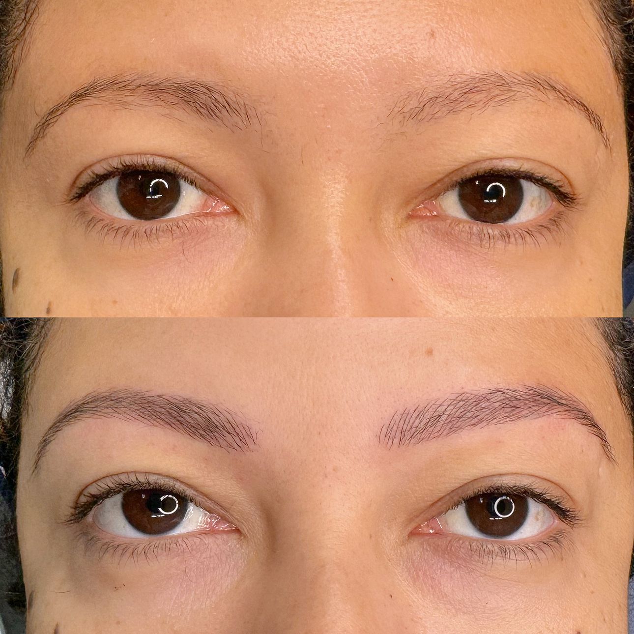 Microblading - Melissa Medeiros - Mell Medeiros