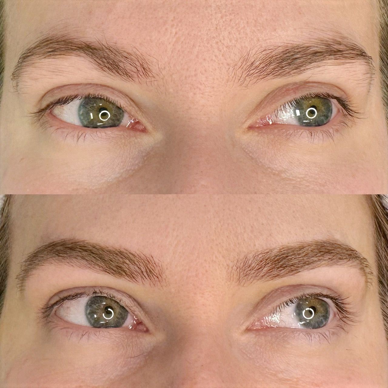 Nanoblading - Melissa Medeiros - Mell Medeiros 