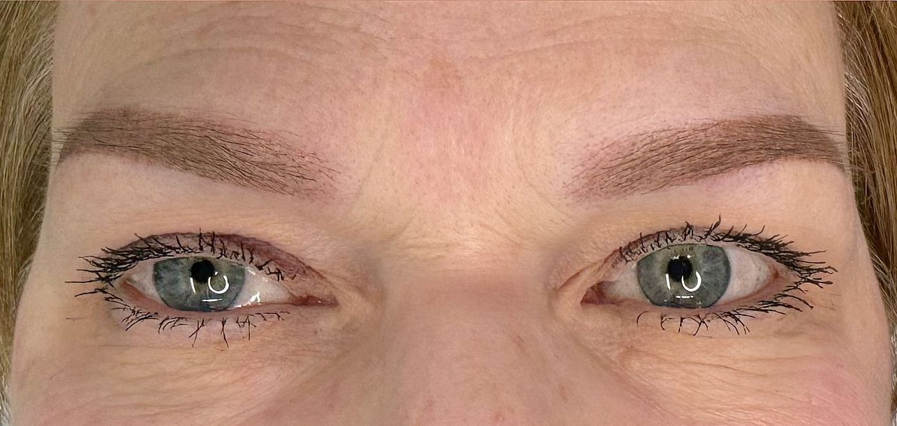 Technique Ombrée (Micro Shading) - Melissa Medeiros - Mell Medeiros
