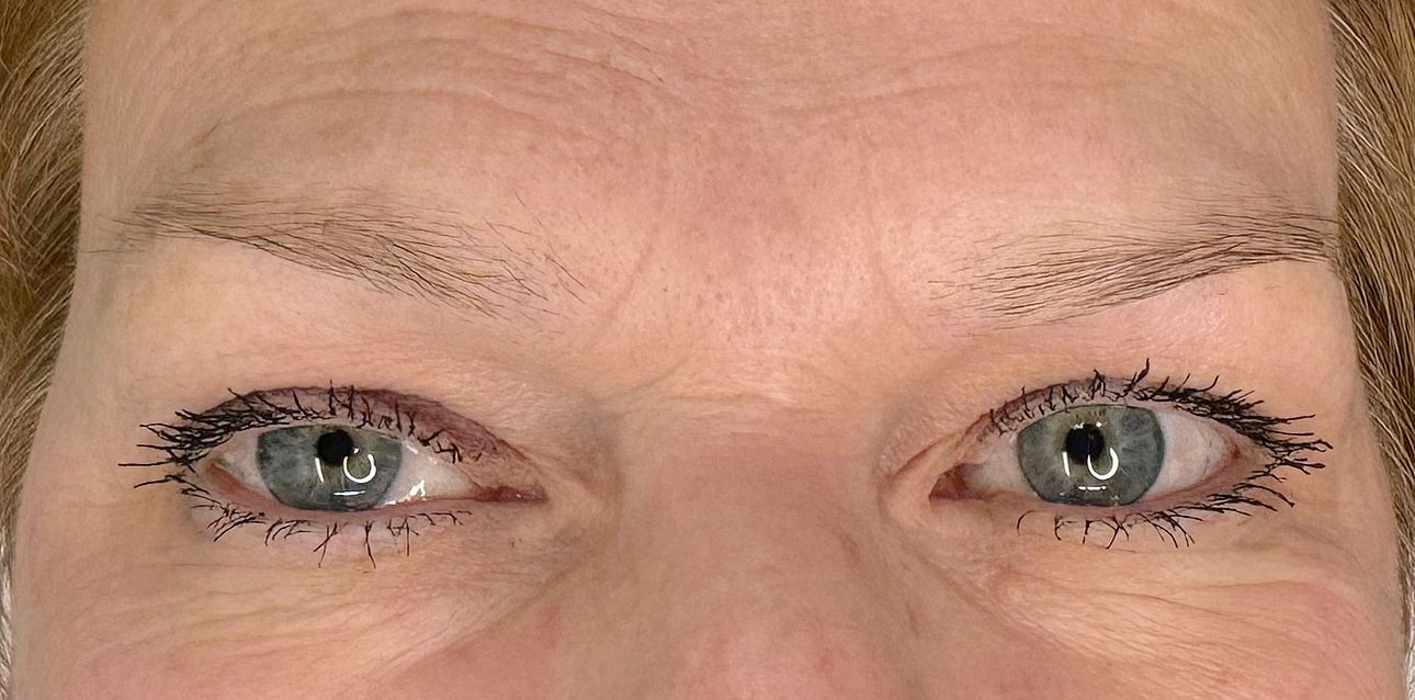 Technique Ombrée (Micro Shading) - Melissa Medeiros - Mell Medeiros