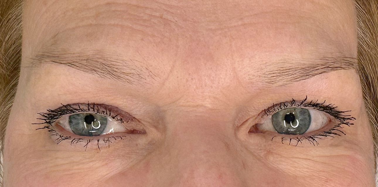 Technique Ombrée (Micro Shading) - Melissa Medeiros - Mell Medeiros