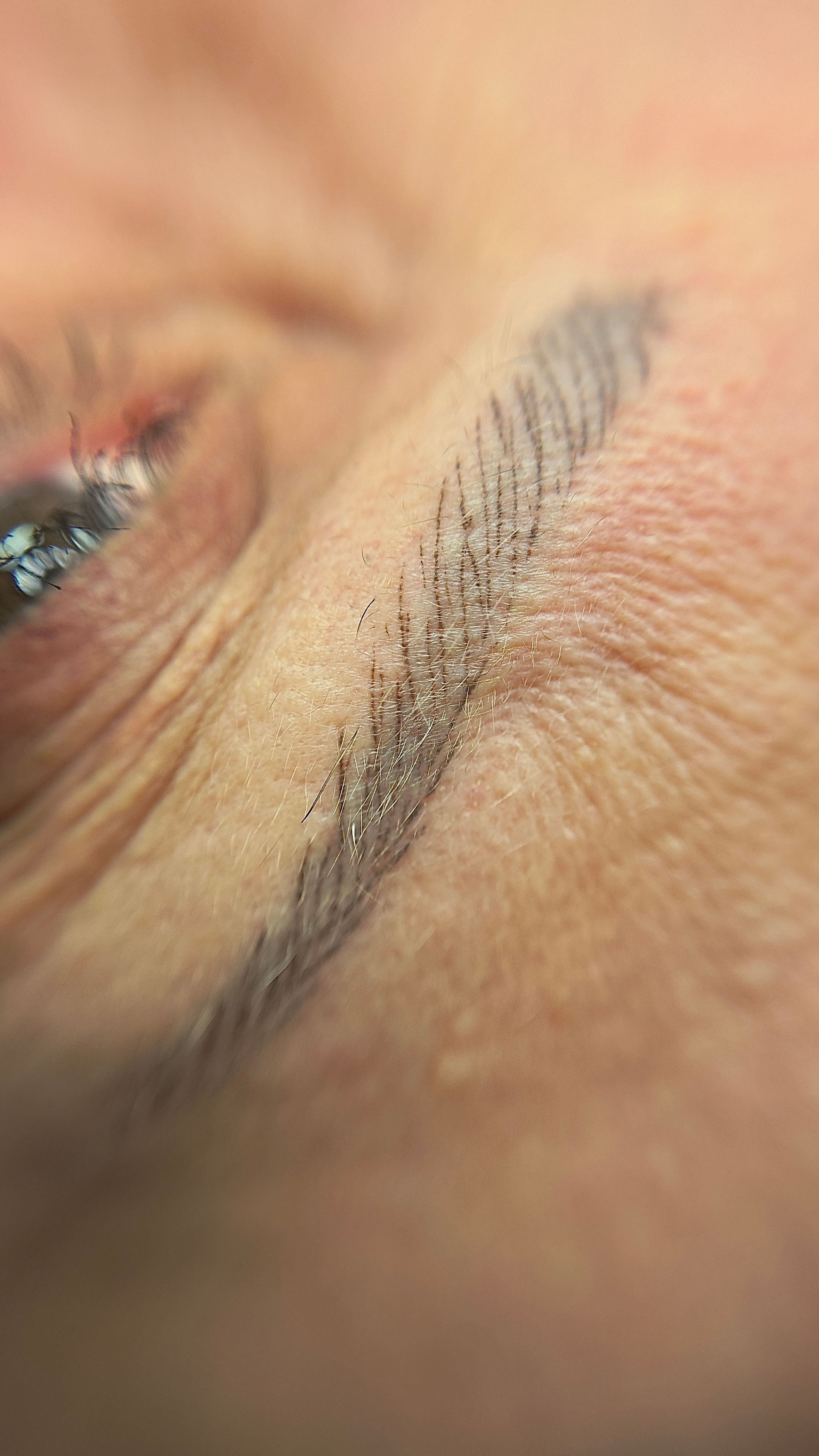 Microblading - Melissa Medeiros - Mell Medeiros