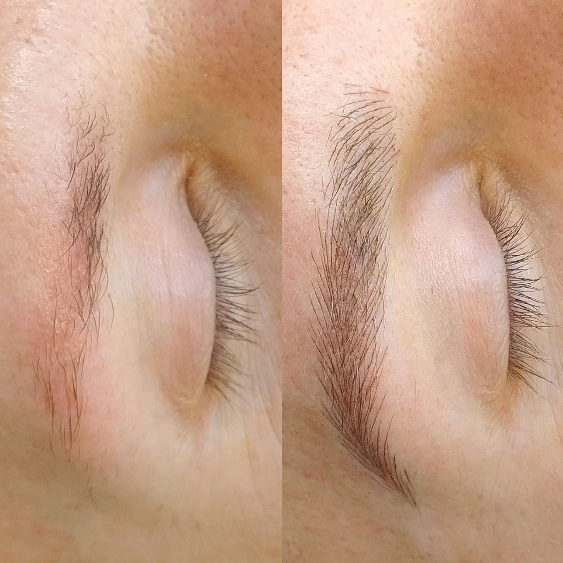 Microblading pour Hommes - Mélissa Medeiros - Mell Medeiros