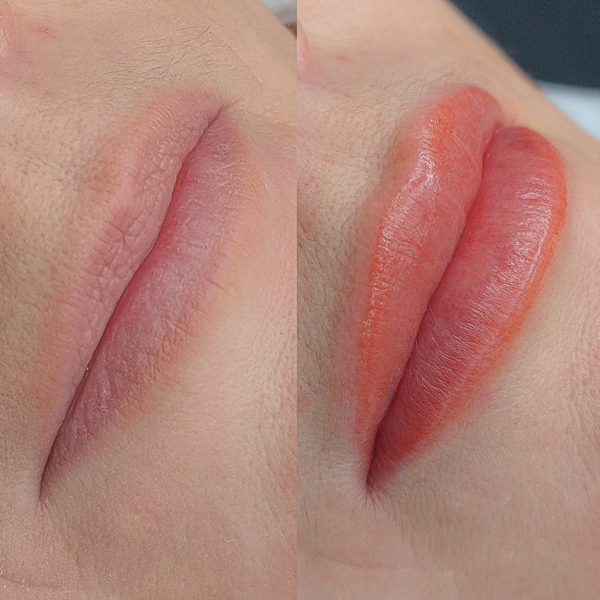 Micropigmentation des Lèvres - Lip Blush - Mélissa Medeiros - Mell Medeiros