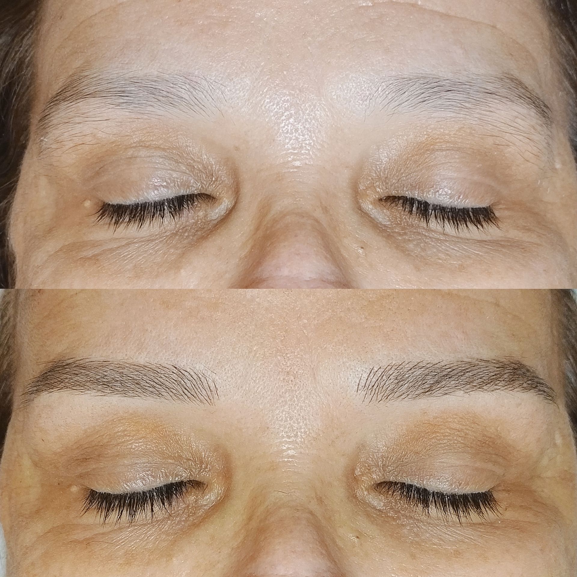 Microblading - Melissa Medeiros - Mell Medeiros