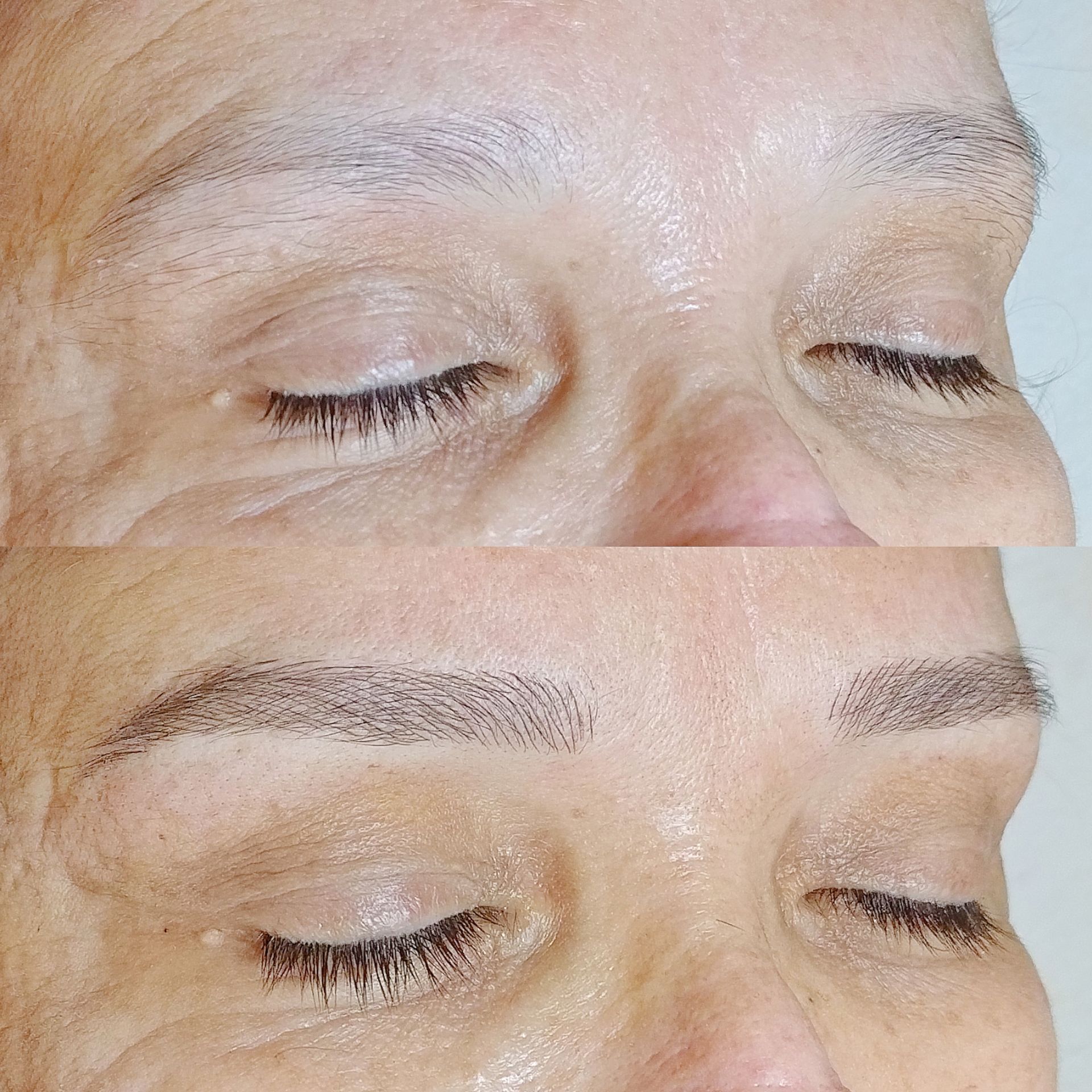 Microblading - Melissa Medeiros - Mell Medeiros