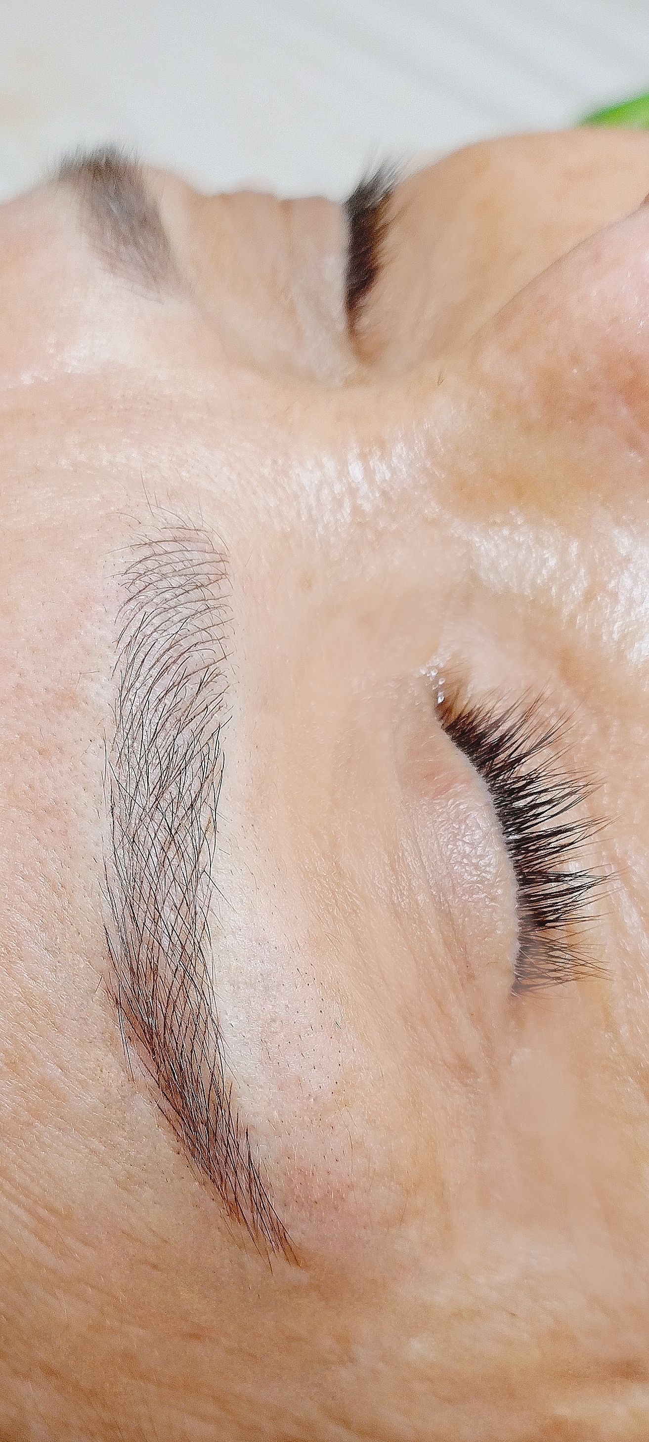 Microblading - Melissa Medeiros - Mell Medeiros