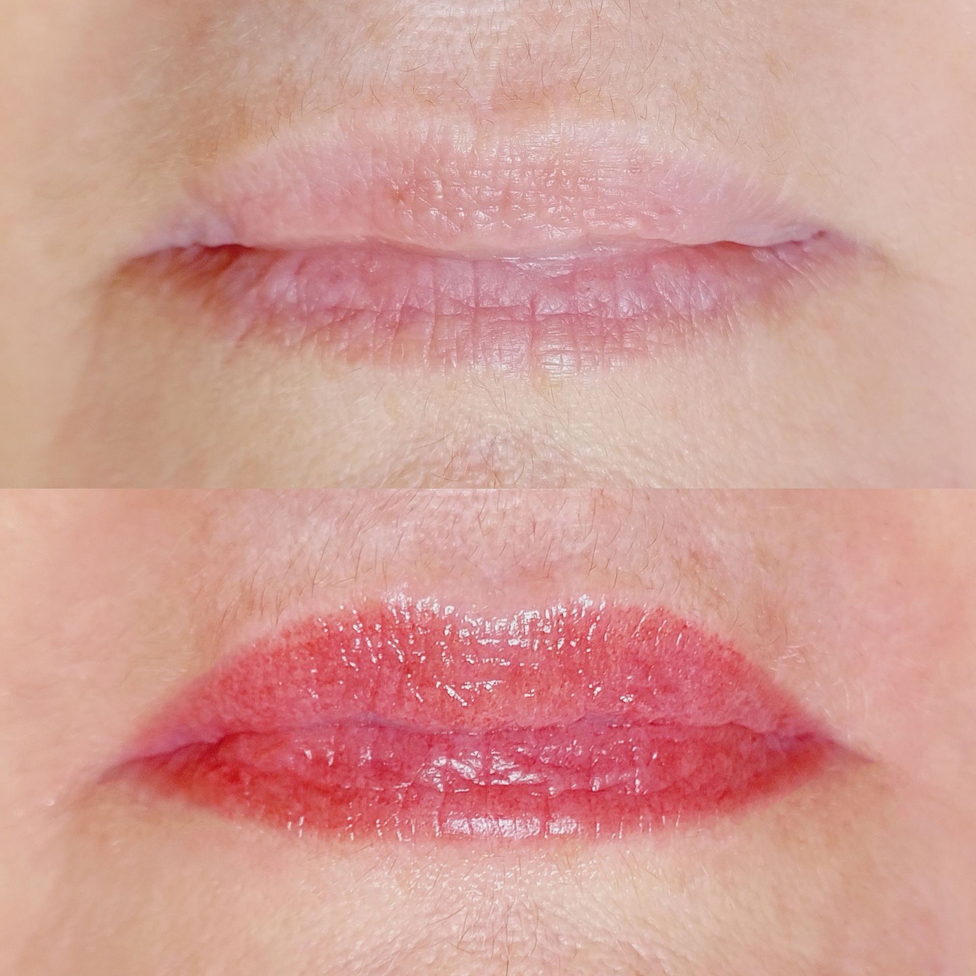 Micropigmentation des Lèvres (Lip Blush) - Melissa Medeiros - Mell Medeiros