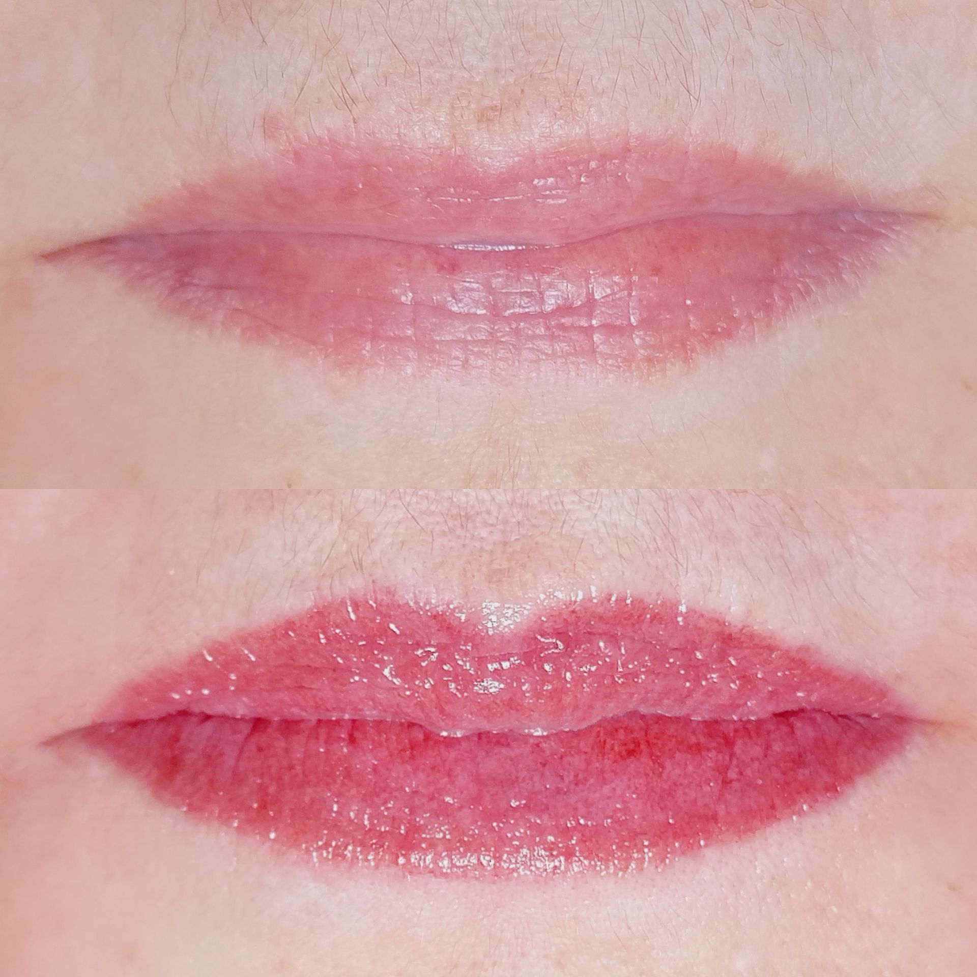 Micropigmentation des Lèvres (Lip Blush) - Melissa Medeiros - Mell Medeiros