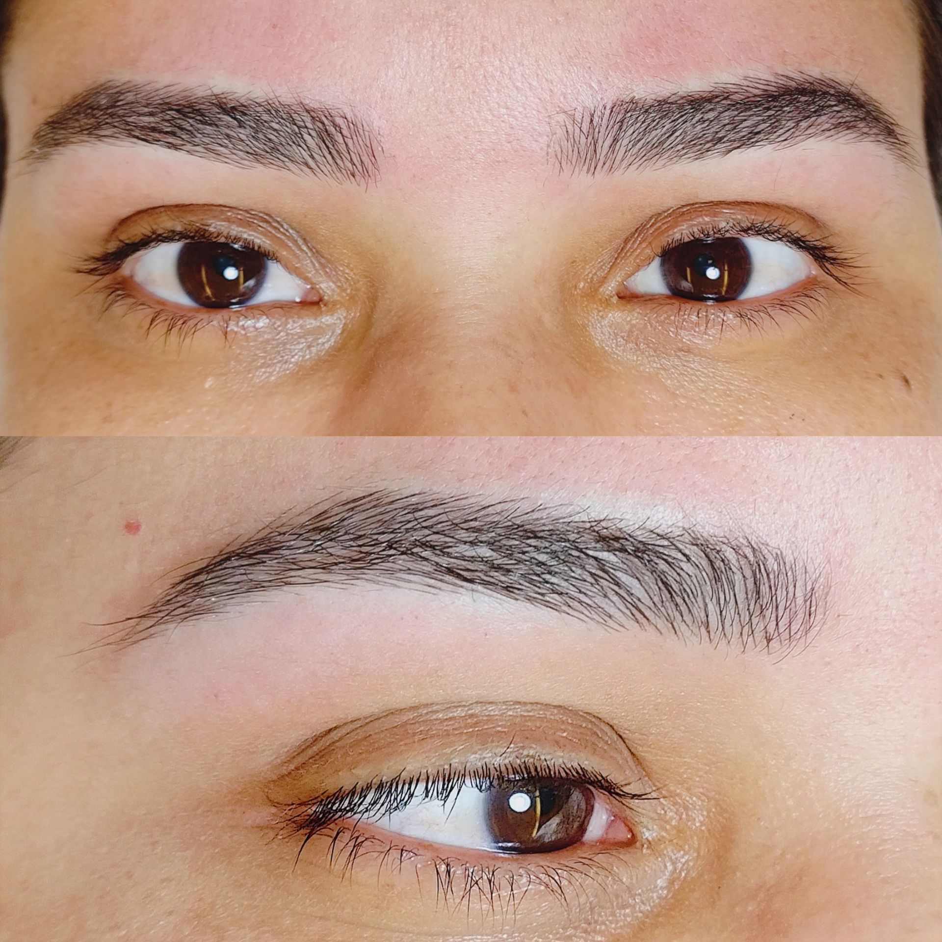 Microblading - Melissa Medeiros - Mell Medeiros