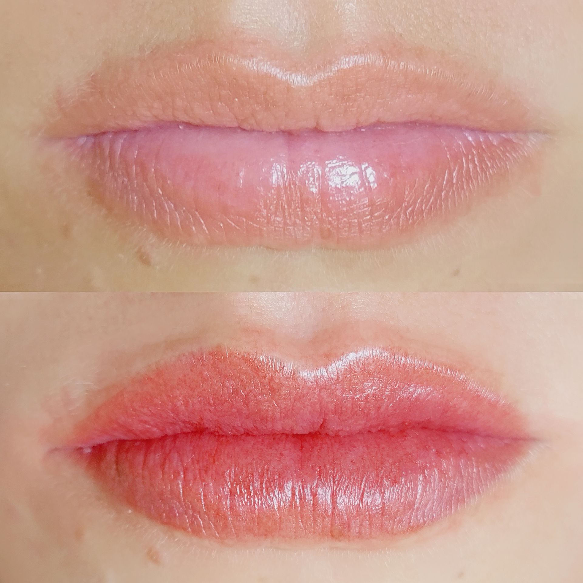 Micropigmentation des Lèvres (Lip Blush) - Melissa Medeiros - Mell Medeiros