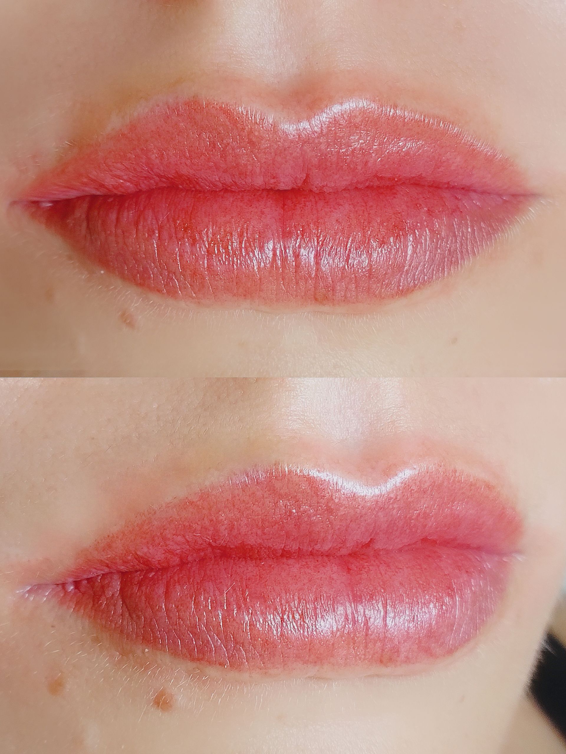 Micropigmentation des Lèvres (Lip Blush) - Melissa Medeiros - Mell Medeiros