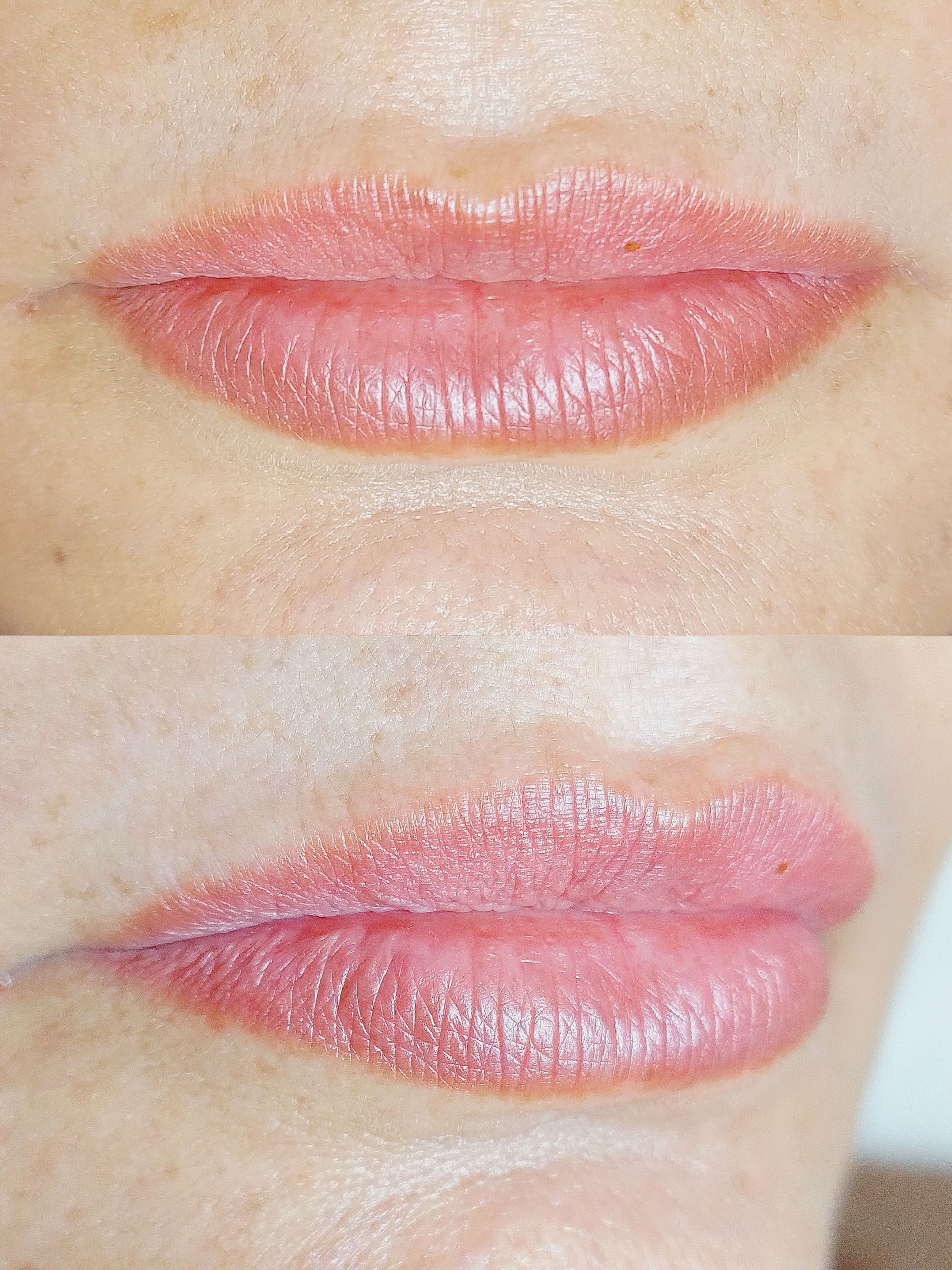 Micropigmentation des Lèvres (Lip Blush) - Melissa Medeiros - Mell Medeiros