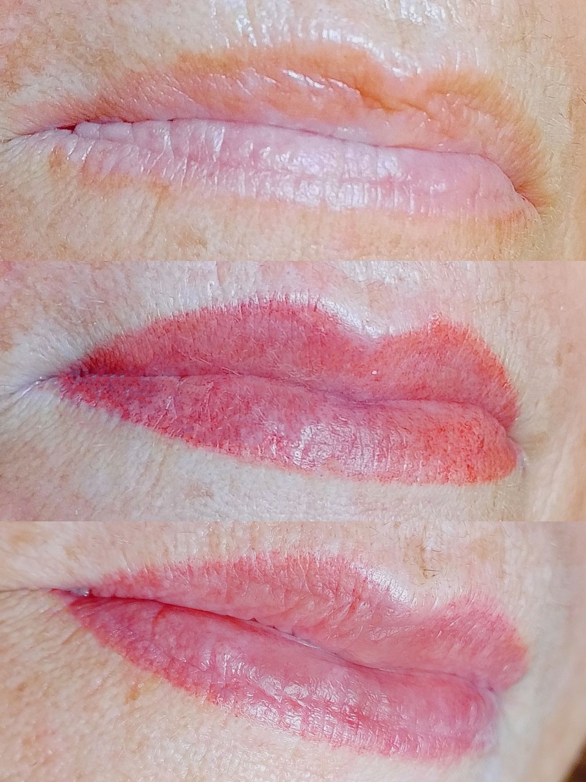 Micropigmentation des Lèvres (Lip Blush) - Melissa Medeiros - Mell Medeiros