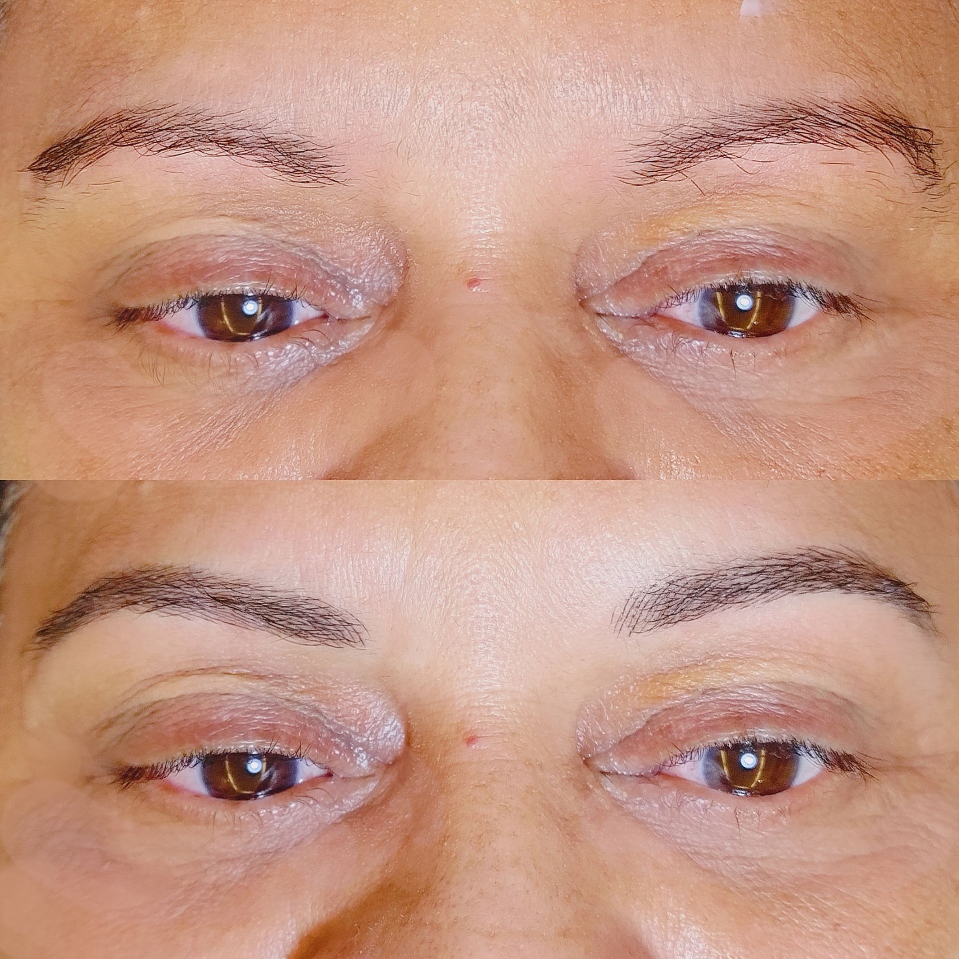 Microblading - Melissa Medeiros - Mell Medeiros