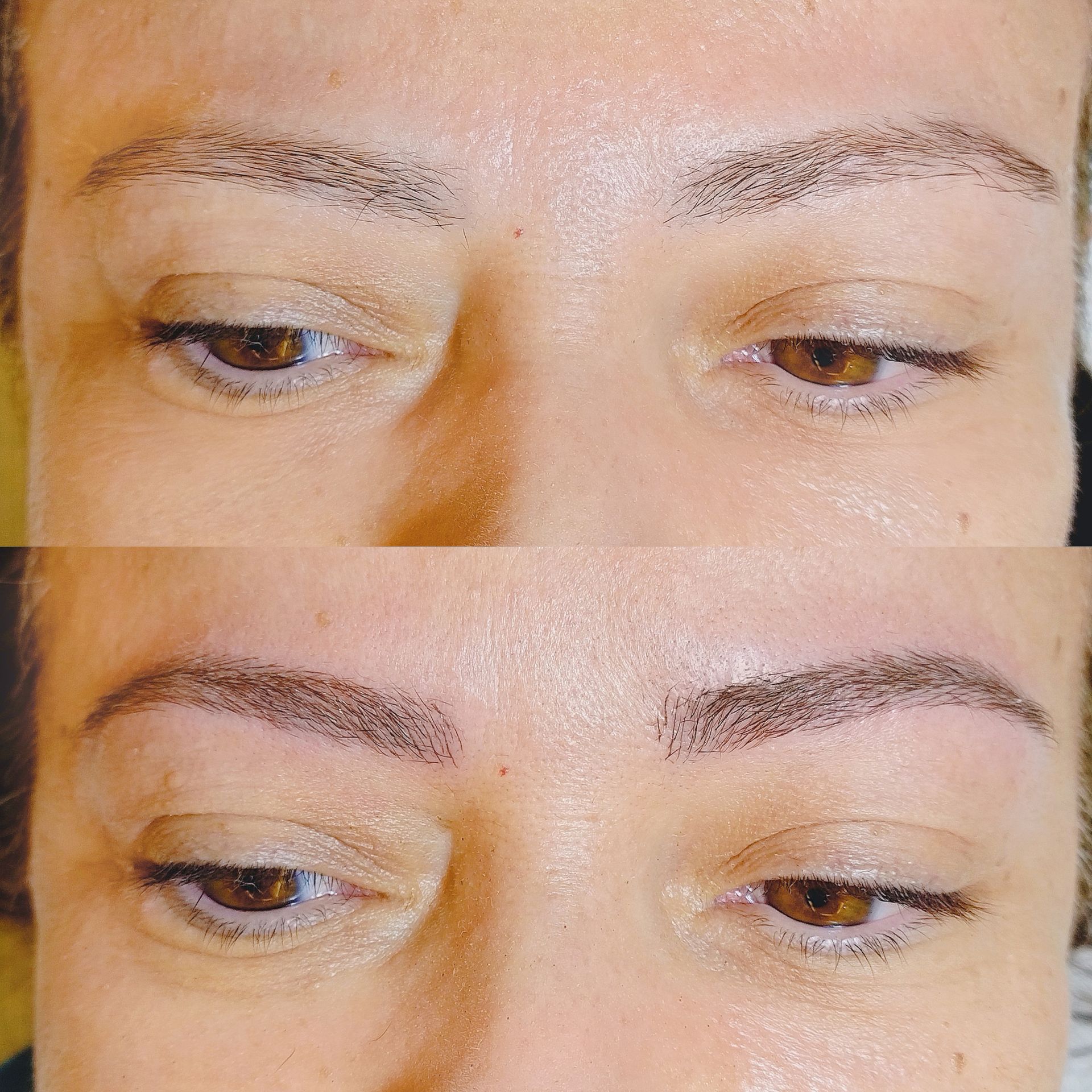 Microblading - Melissa Medeiros - Mell Medeiros