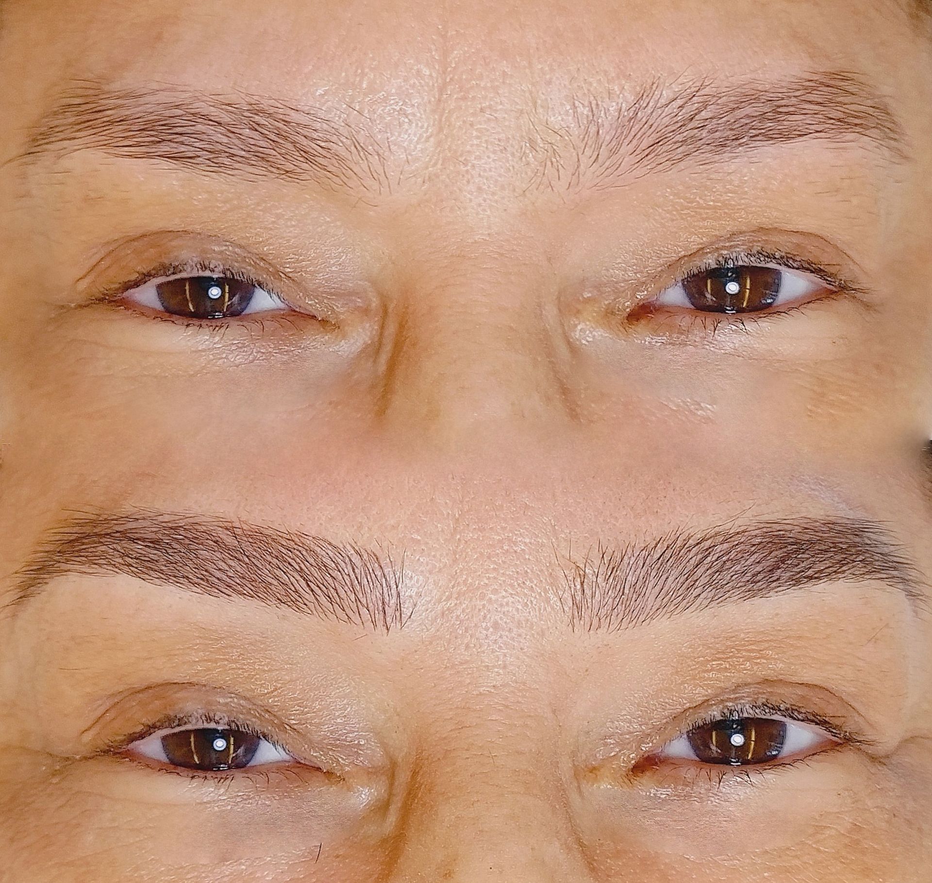 Nanoblading - Melissa Medeiros - Mell Medeiros