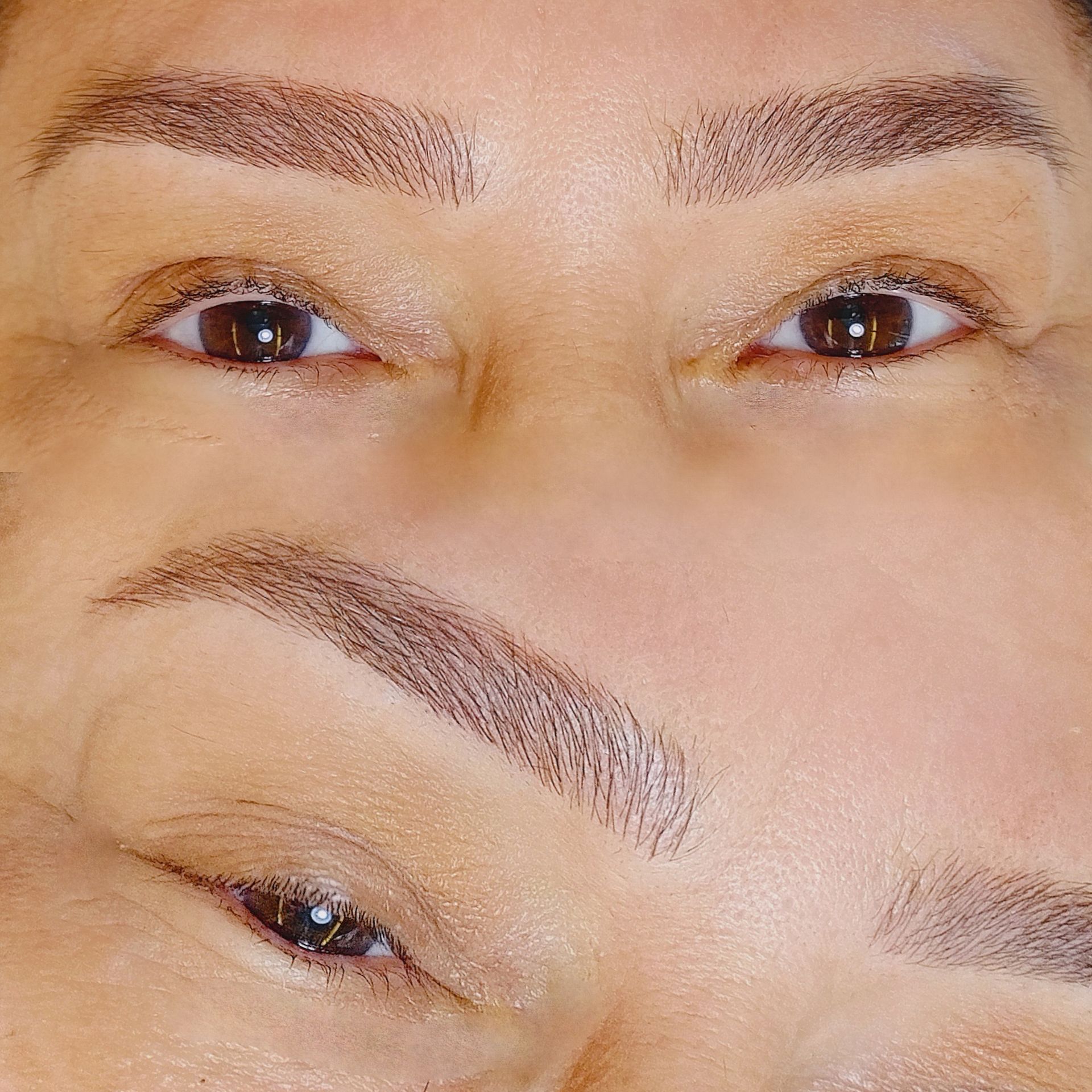 Nanoblading - Melissa Medeiros - Mell Medeiros